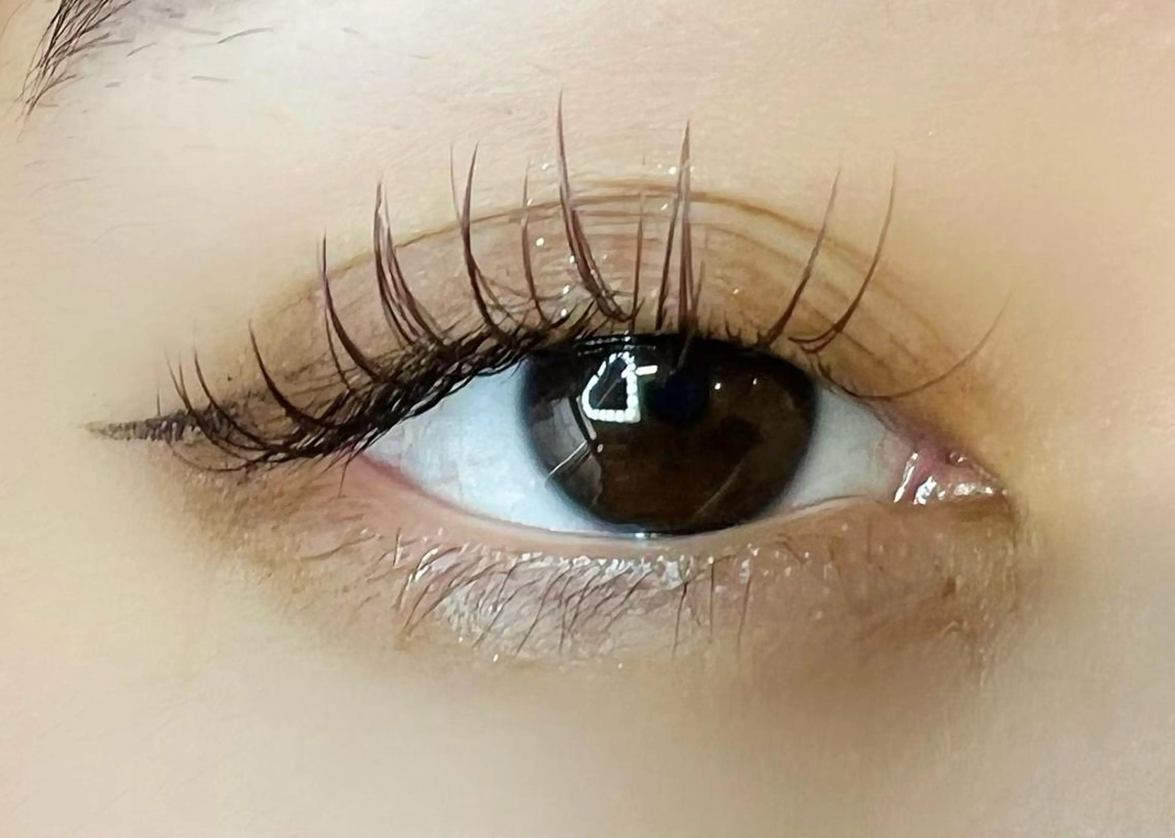 マツエク・マツパ カラーマツエク マツエク Celeste Venus所属・🧸Celeste Venusのマツエク・マツパデザイン