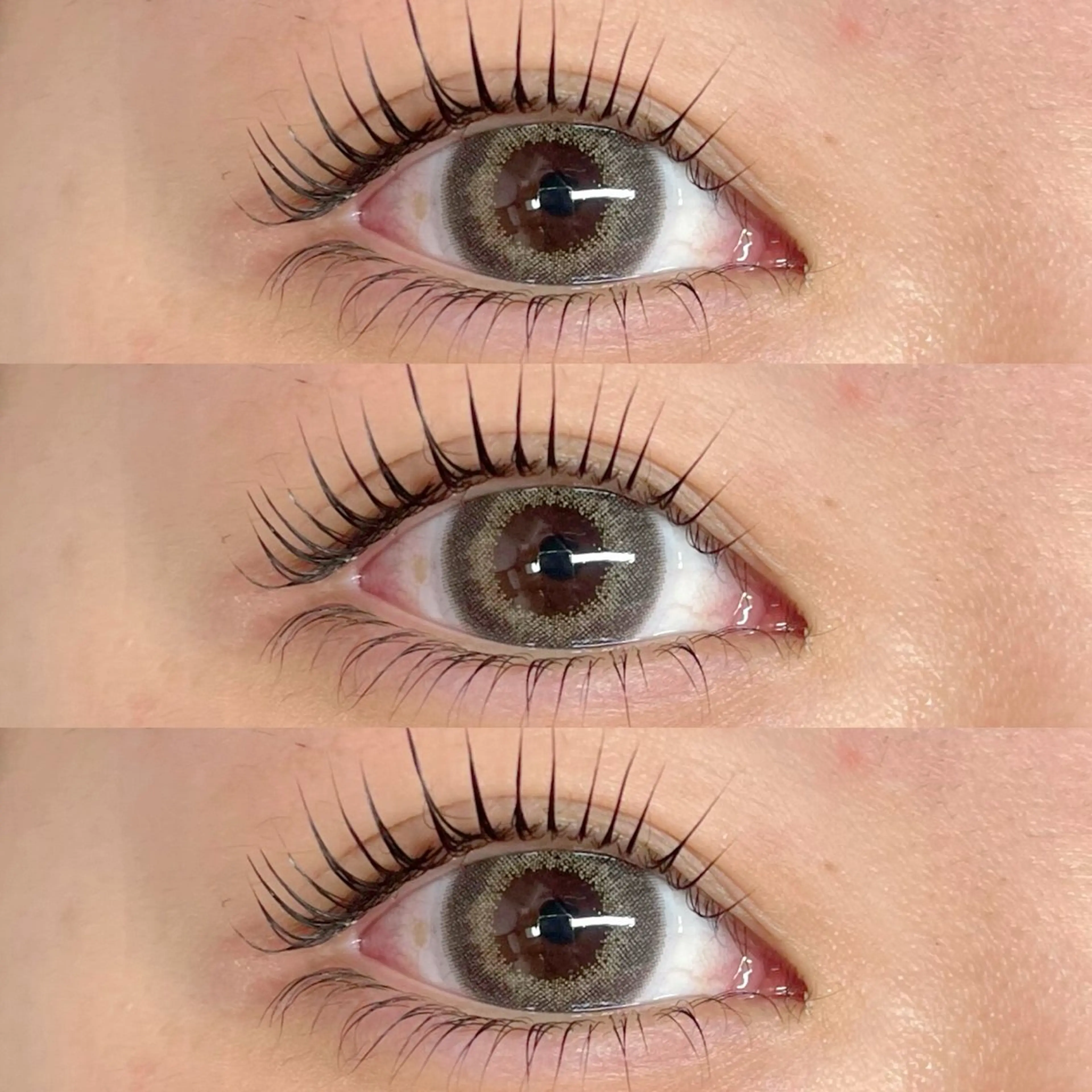 🎀 まつ毛パーマ or パリジェンヌ 《LEDコーティング》 🎀の写真