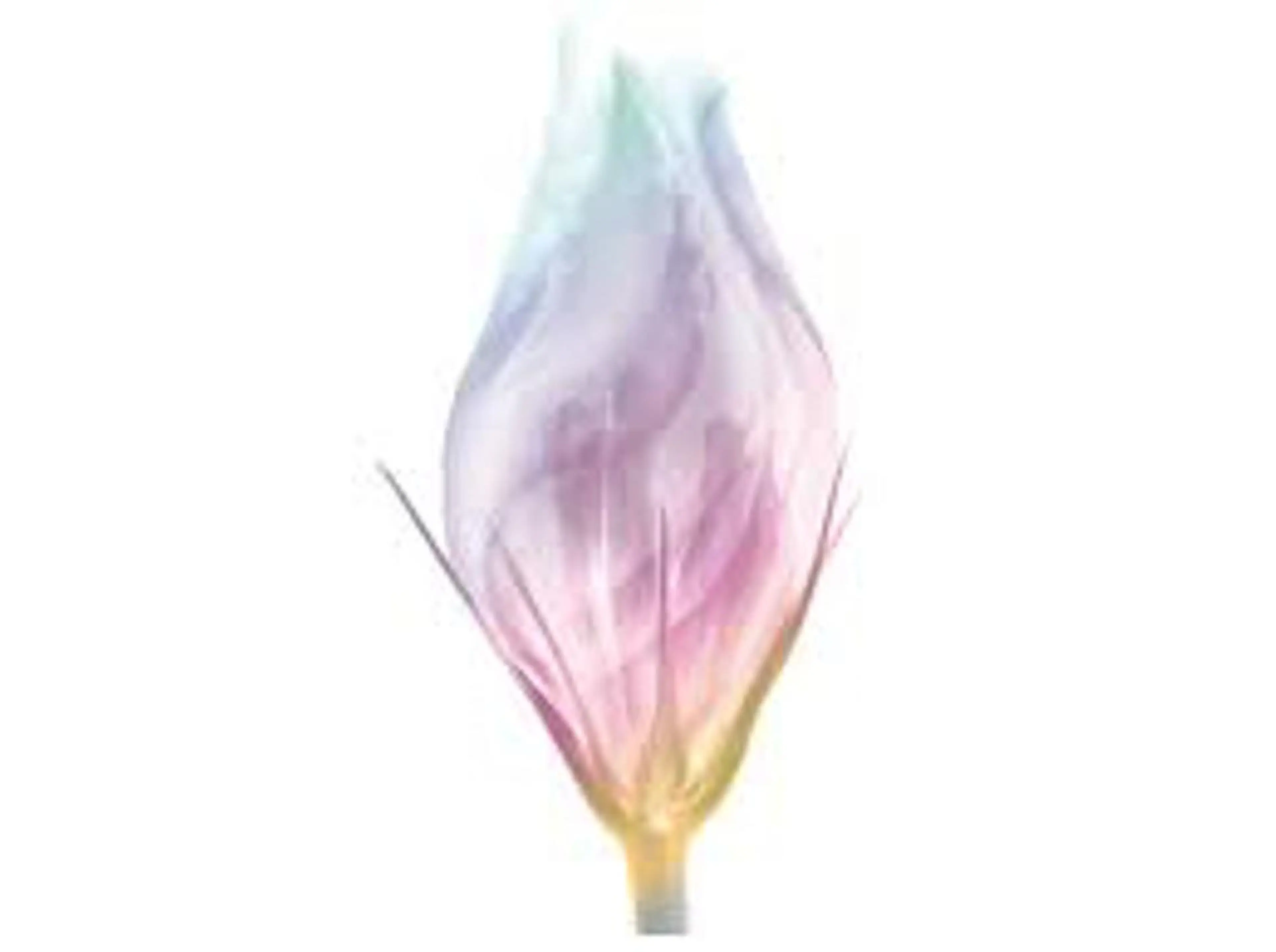 VOICE　hair所属・レイヤーカット 川田くるみのヘアスタイル