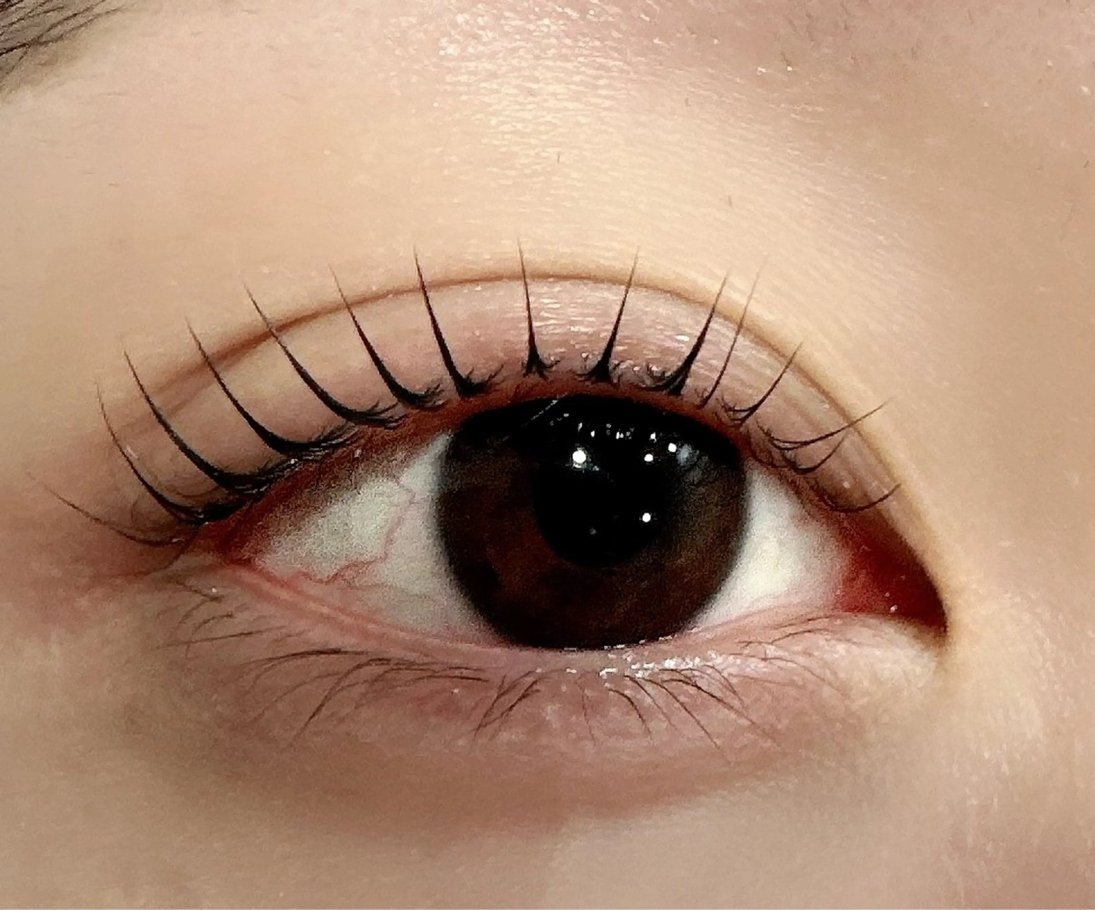 マツエク・マツパ パリジェンヌラッシュリフト マツパ ❣️高田馬場人気❣️ アイブロウワックスの眉毛・アイブロウイメージ