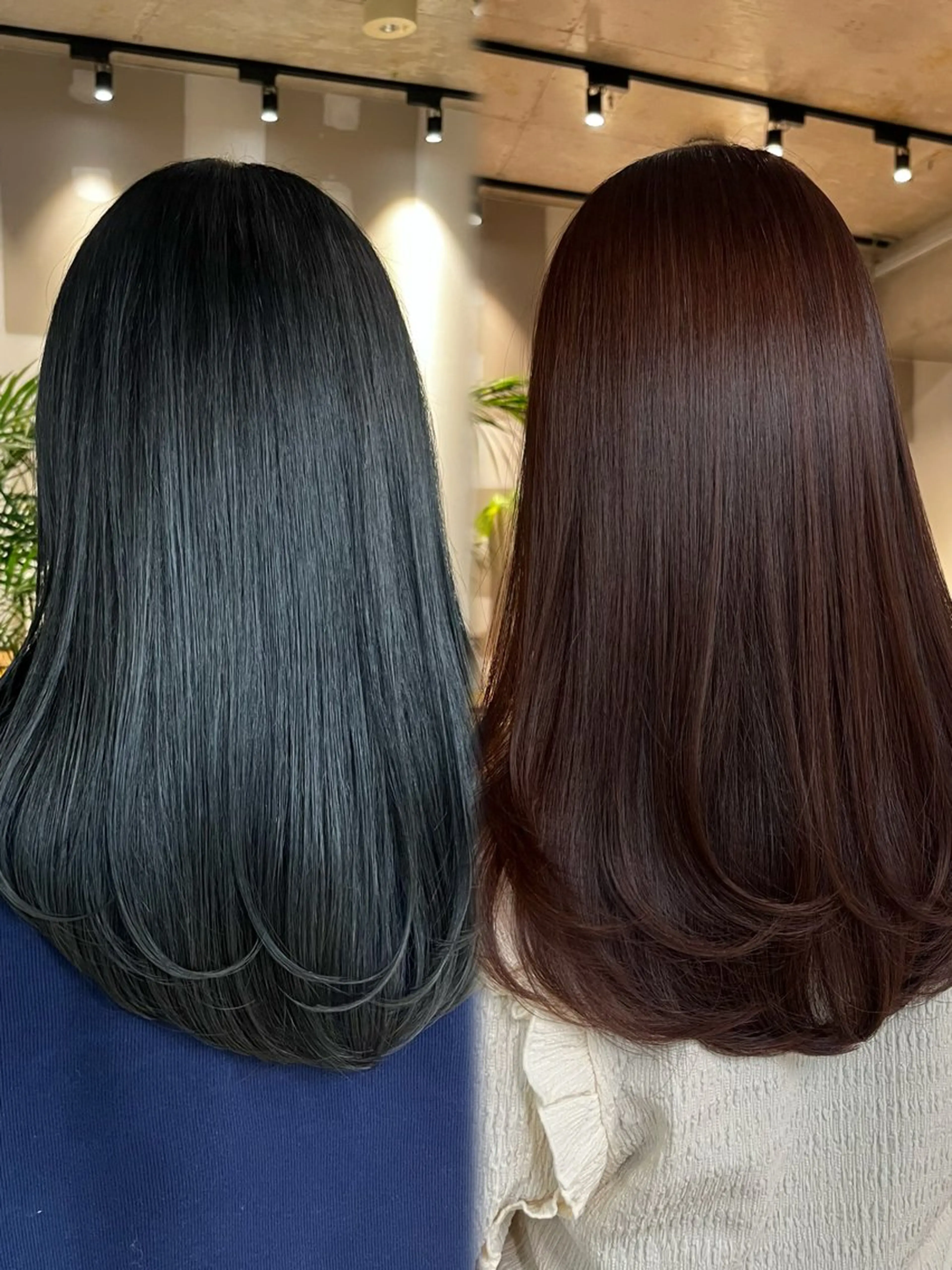 カラー ウルフとデザイン カラーの神のヘアスタイル