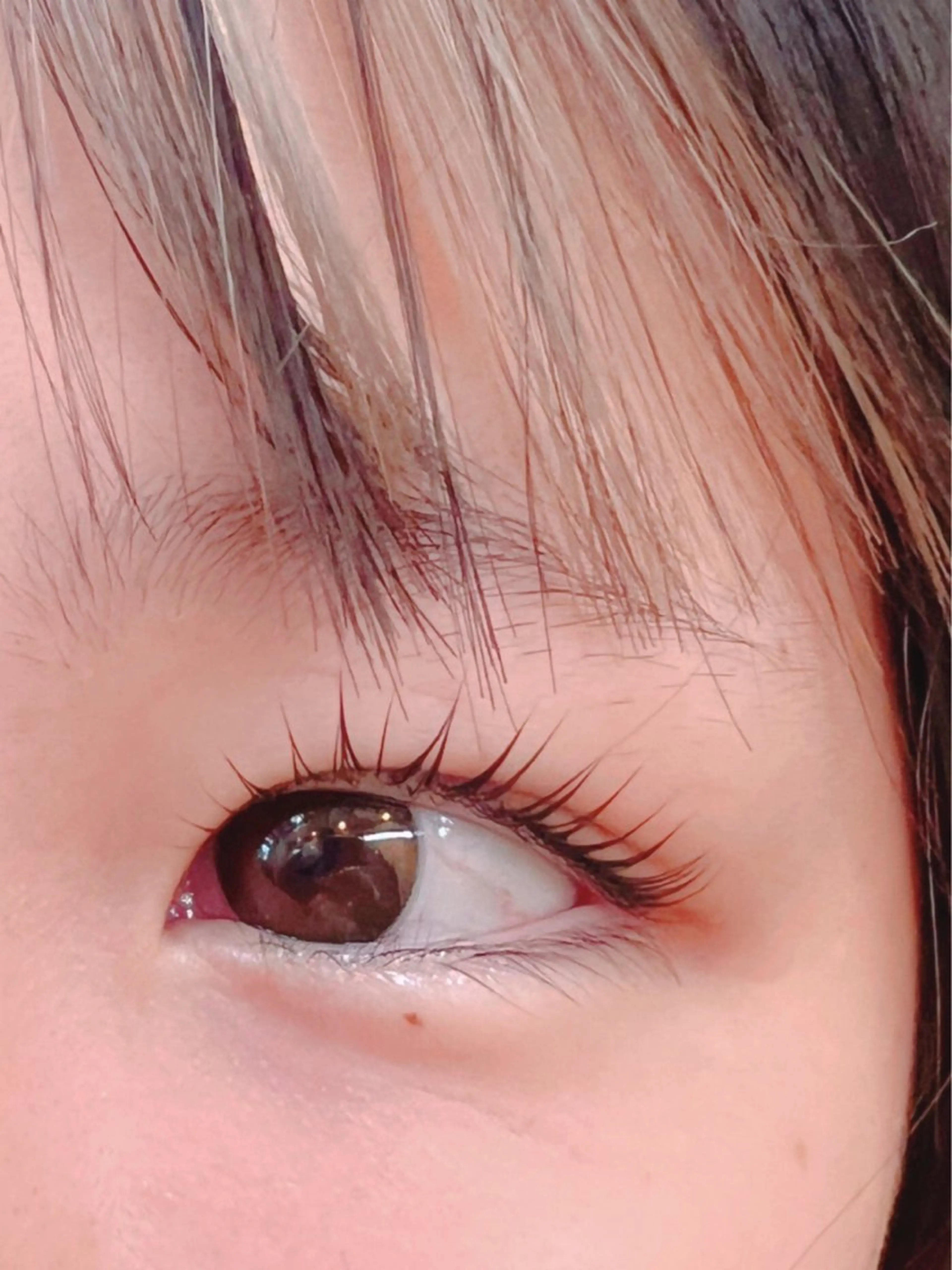 マツエク・マツパ フラットラッシュ まつげパーマ 一重×まつ毛パーマ マツパ pico所属・pico 守口 大日 門真 寝屋 摂津のマツエク・マツパデザイン