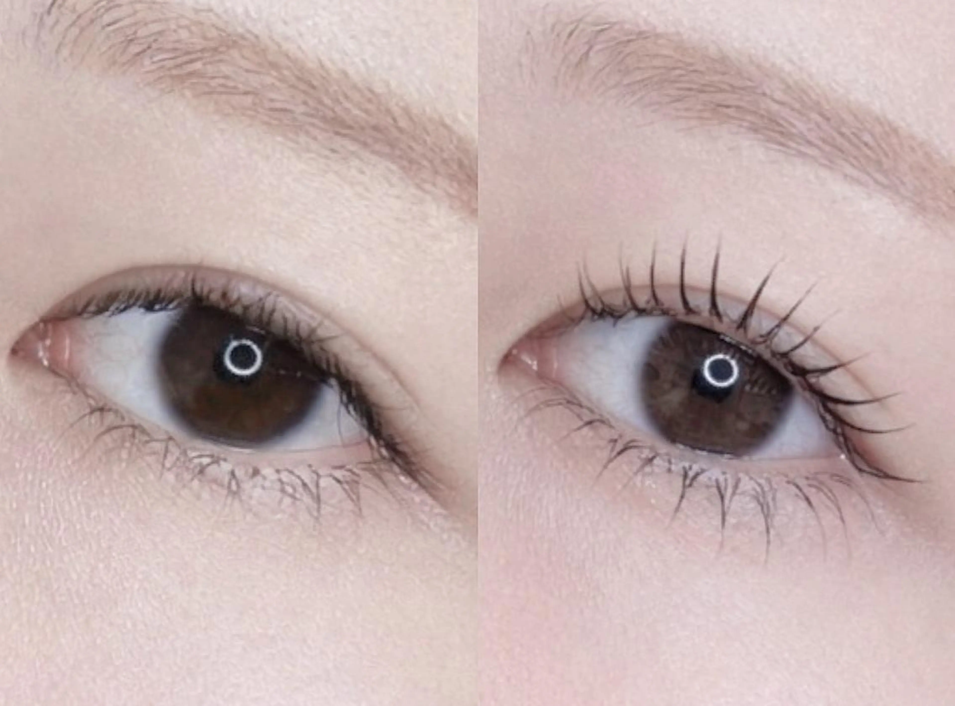 7日までの1０時半、9日16時✨上下まつ毛パーマ（パリジェンヌも可）💗✨エクステの付いていない方でお願いします🥺✨の写真