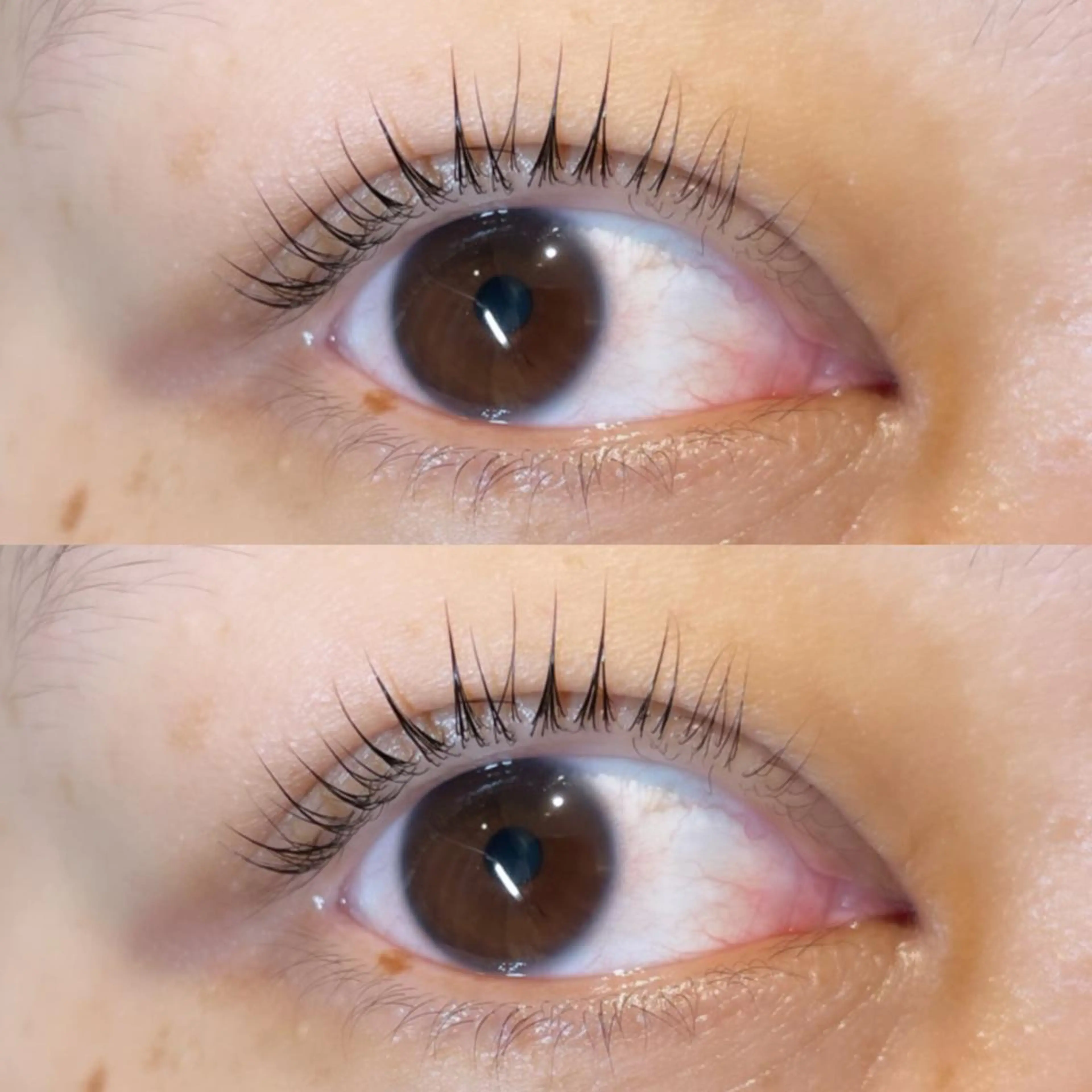 マツエク・マツパ パリジェンヌラッシュリフト 🧸Li'a おがわ🧸のマツエク・マツパデザイン