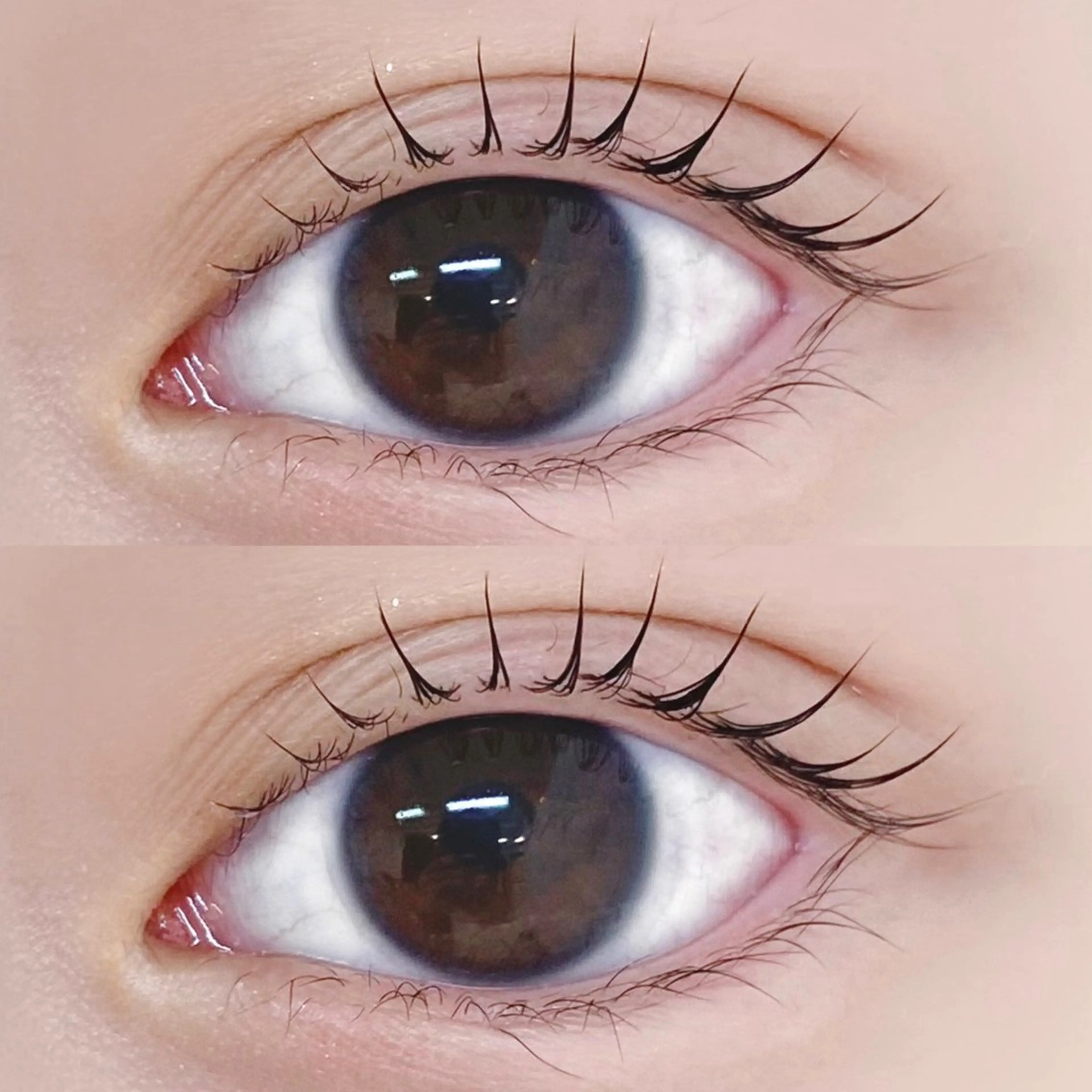 マツエク・マツパ マツパ Bianca横浜関内 NOSHITA𓆉のマツエク・マツパデザイン