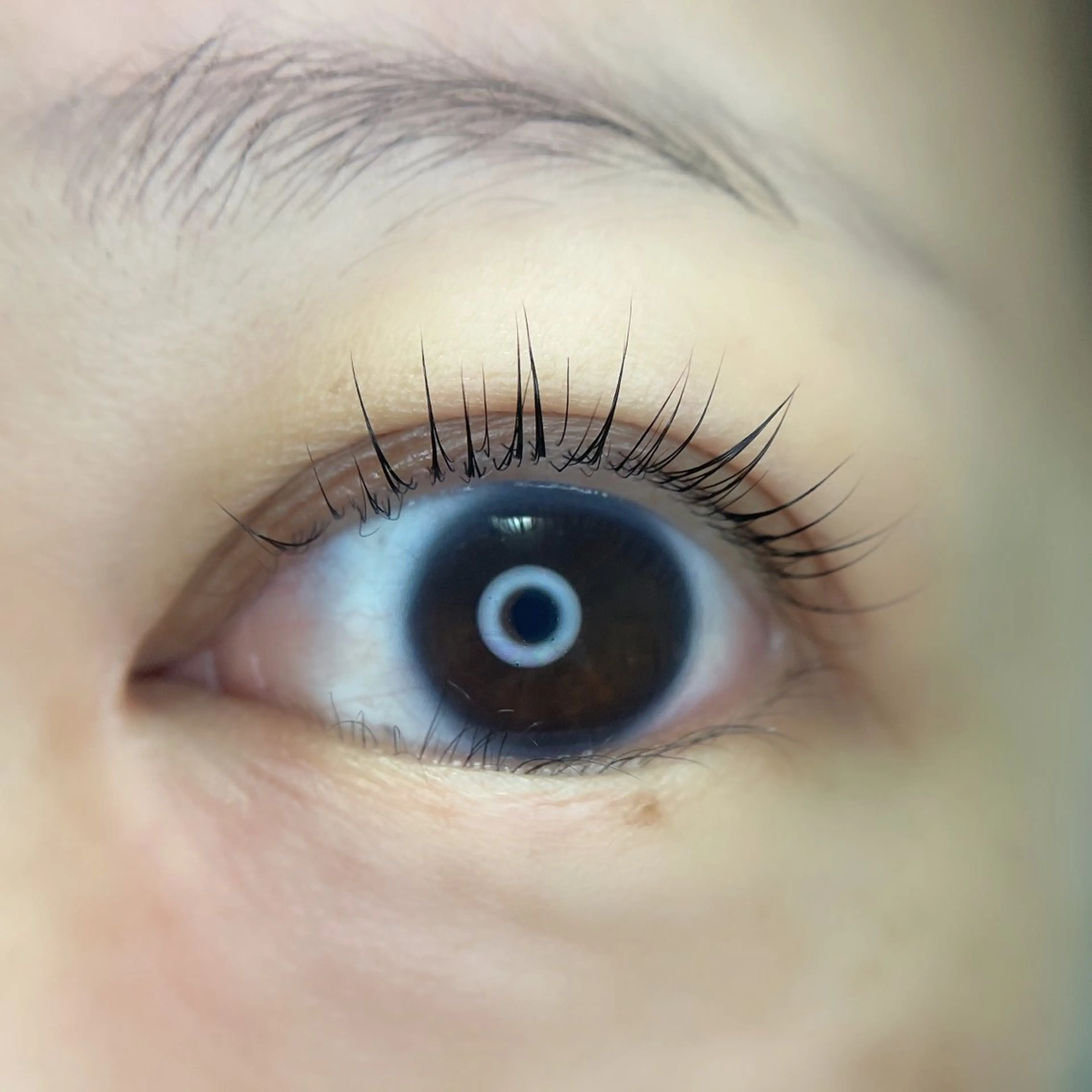 マツエク・マツパ irie hair &　eyelash所属・irie(ｱｲﾘｰ) hair&eyeのマツエク・マツパデザイン