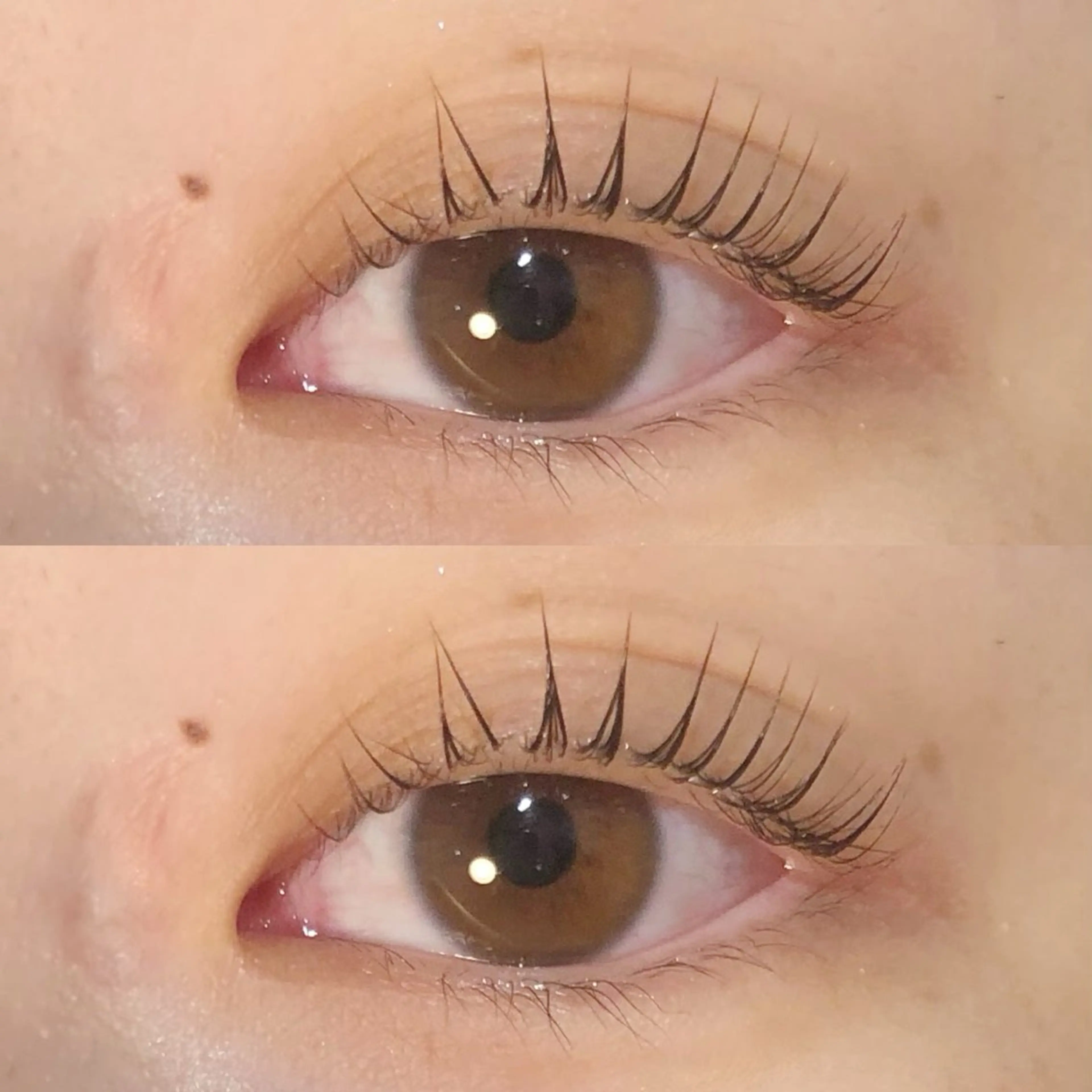 3/12(14:00ご来店）　無料:上まつ毛パーマの写真