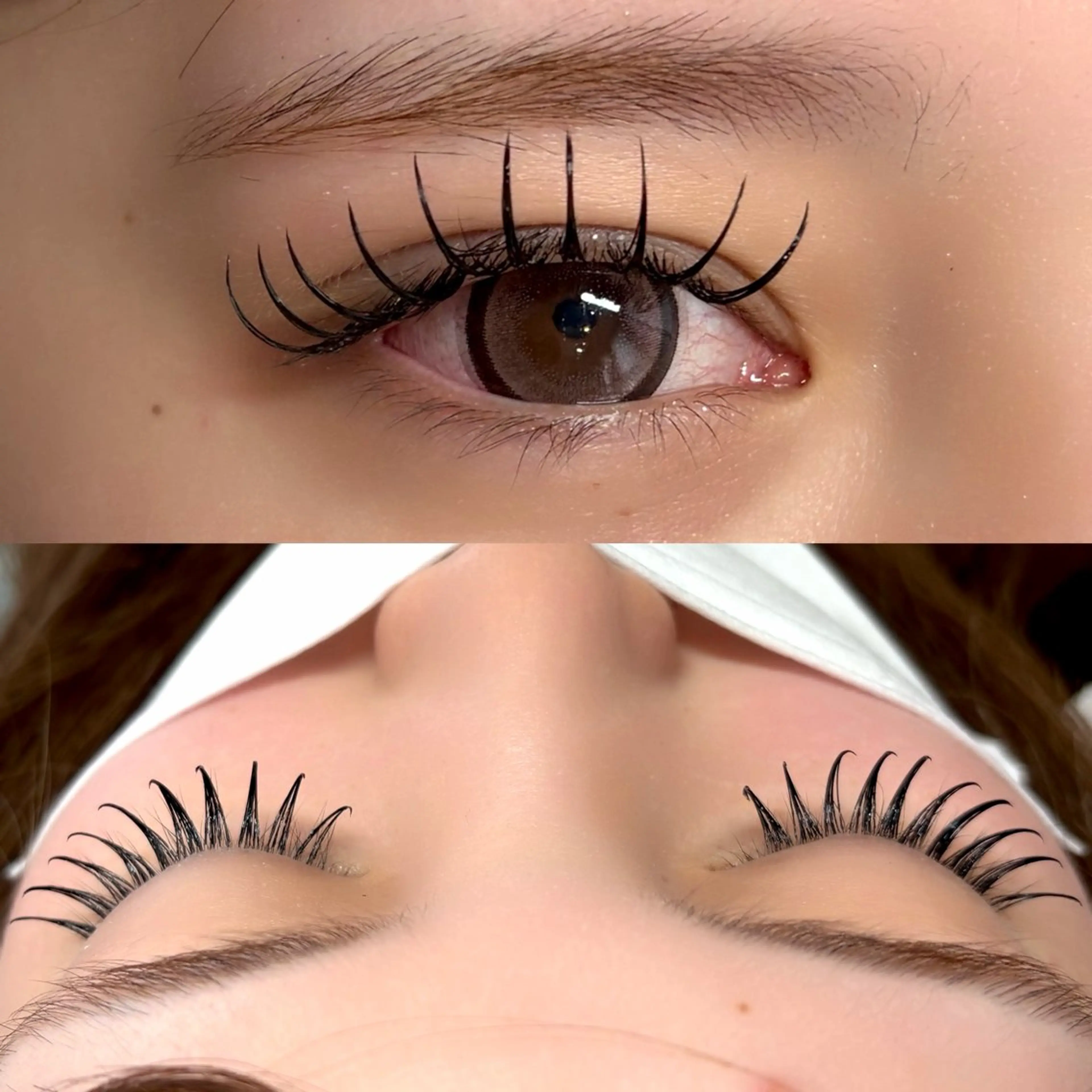 マツエク・マツパ Dカール フラットラッシュ マツエク Lupines🫧 MONEのマツエク・マツパデザイン