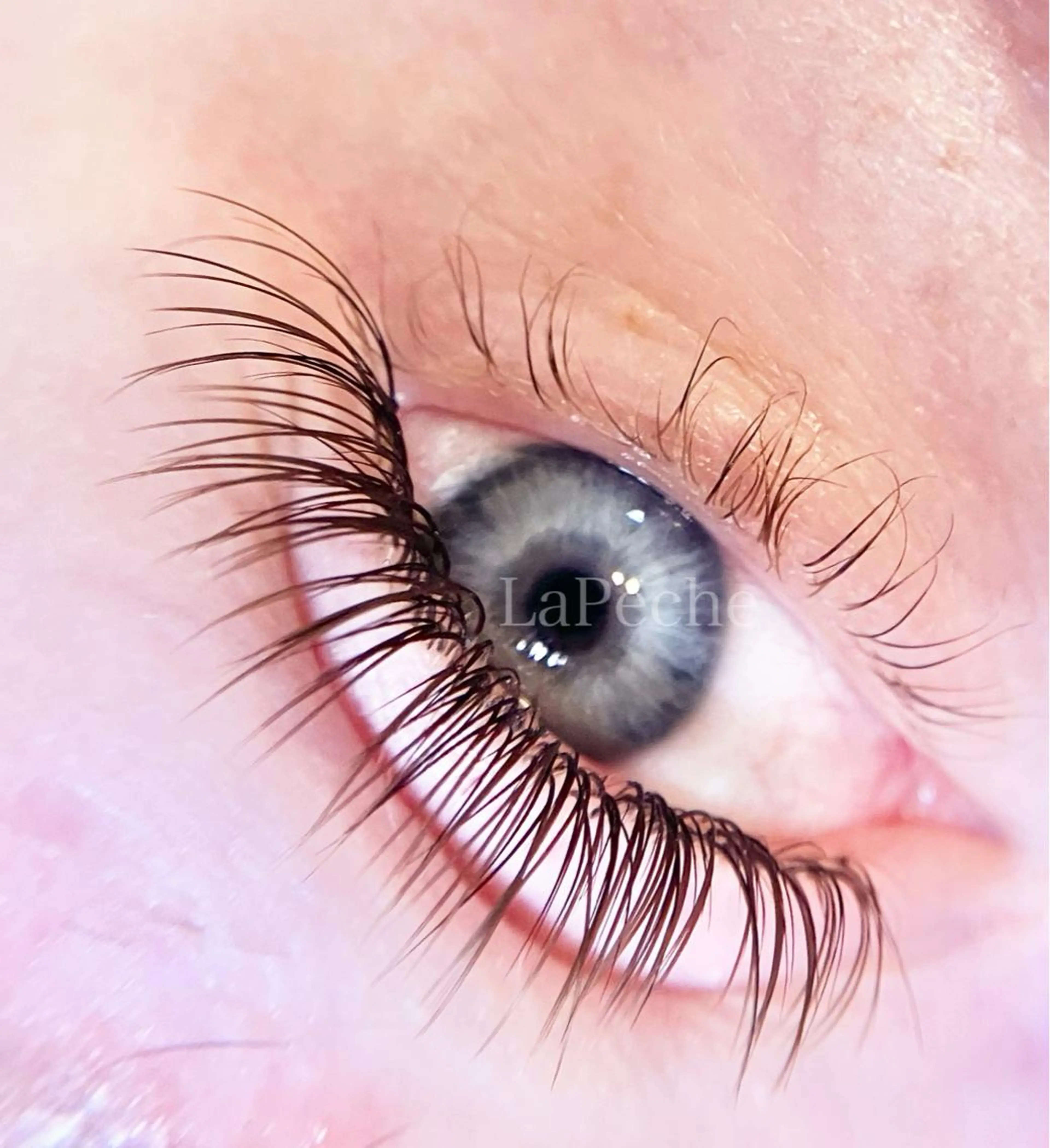 マツエク・マツパ マツエク La Peche momokoのマツエク・マツパデザイン