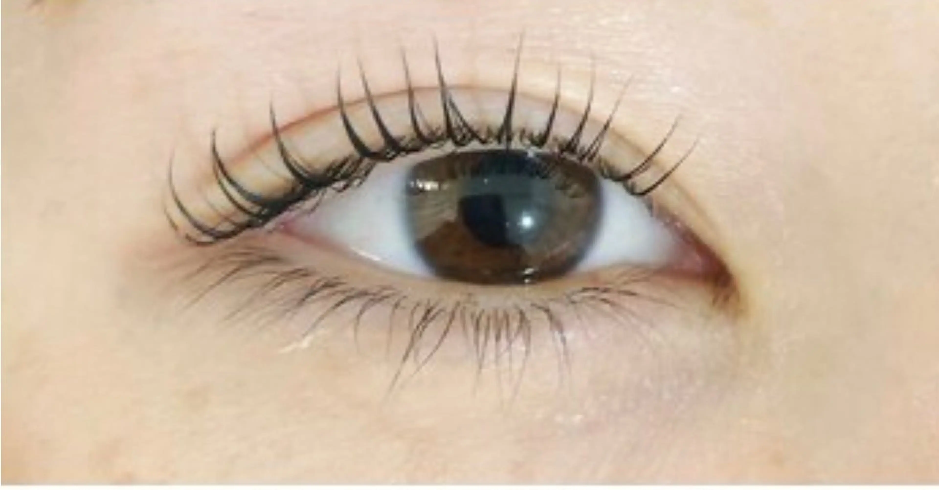 マツエク・マツパ EYELA盛岡店所属・EYELA SHIBATA💜のマツエク・マツパデザイン