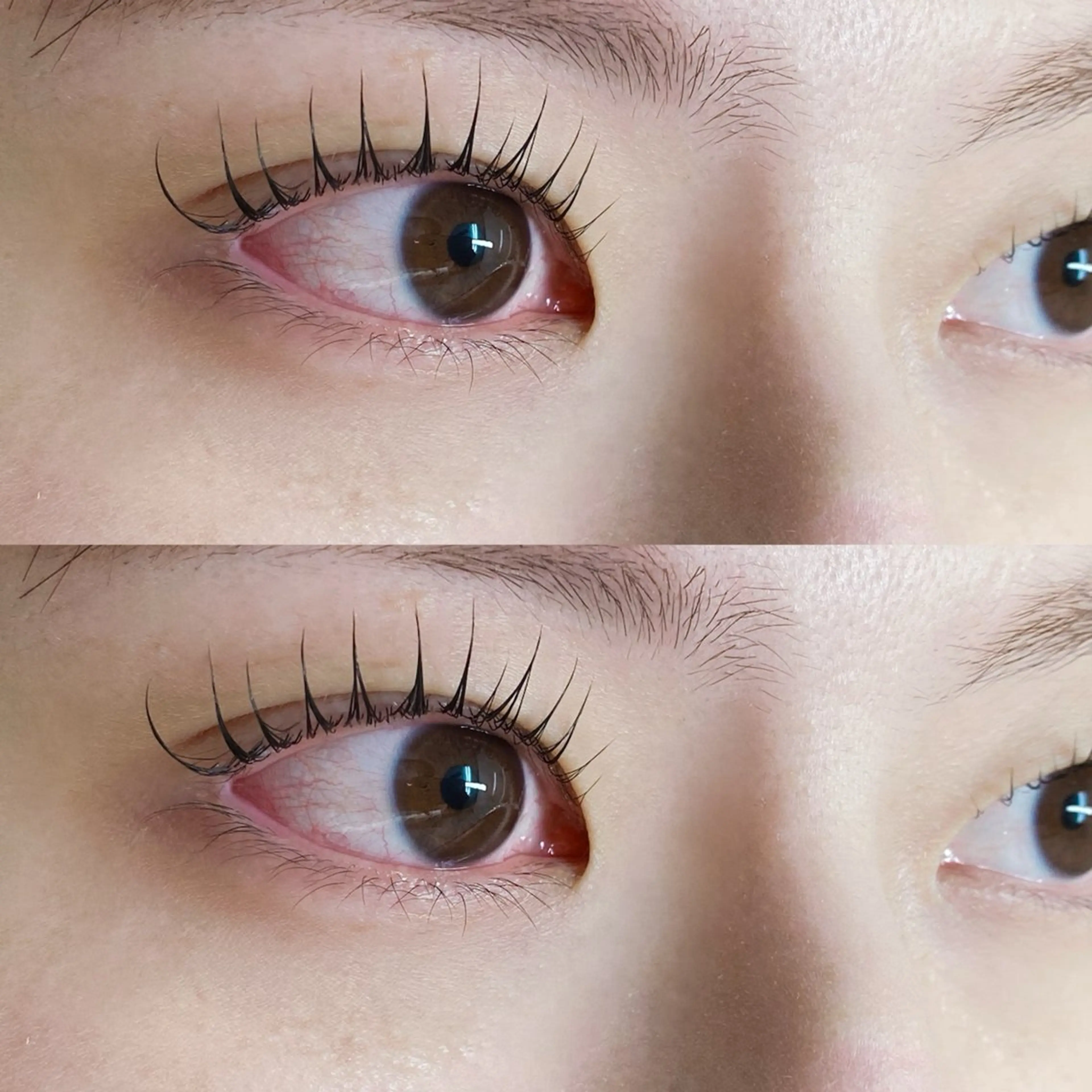 💙ラッシュリフト💙上の写真