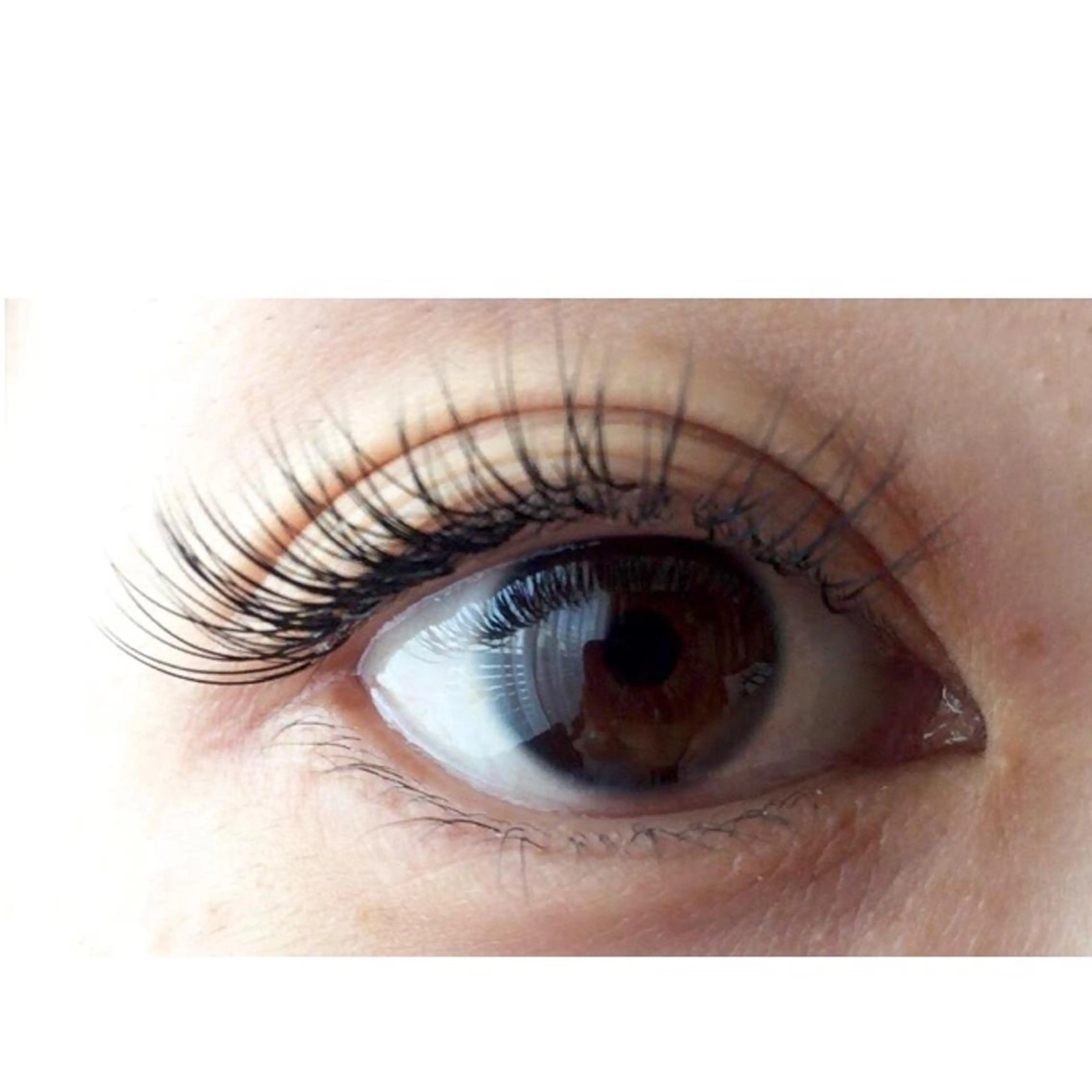 マツエク・マツパ マツエク アモロッソ所属・アモロッソ 🐻Miiのマツエク・マツパデザイン