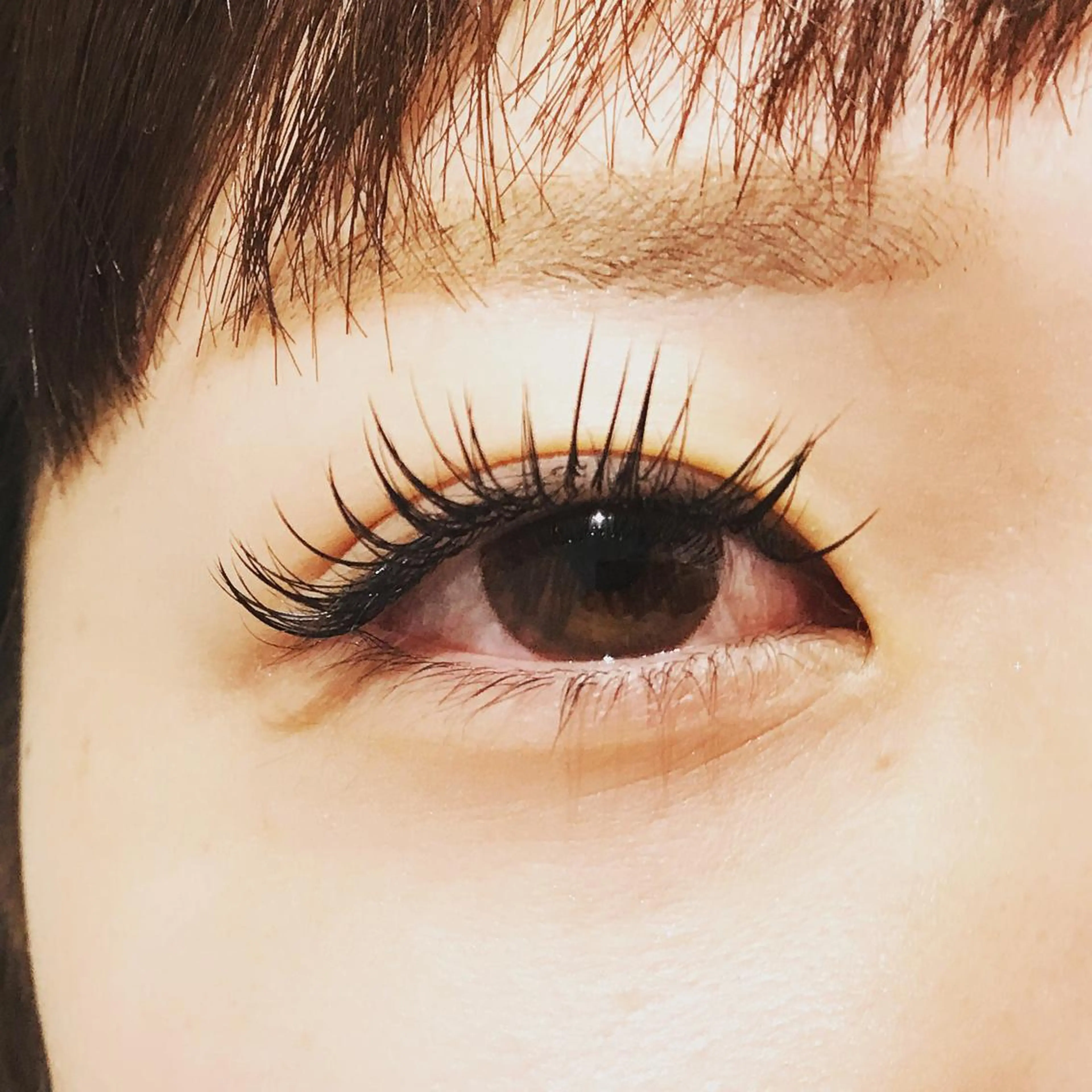 マツエク・マツパ 付け放題 Cカール にっくに ちひろの眉毛・アイブロウイメージ