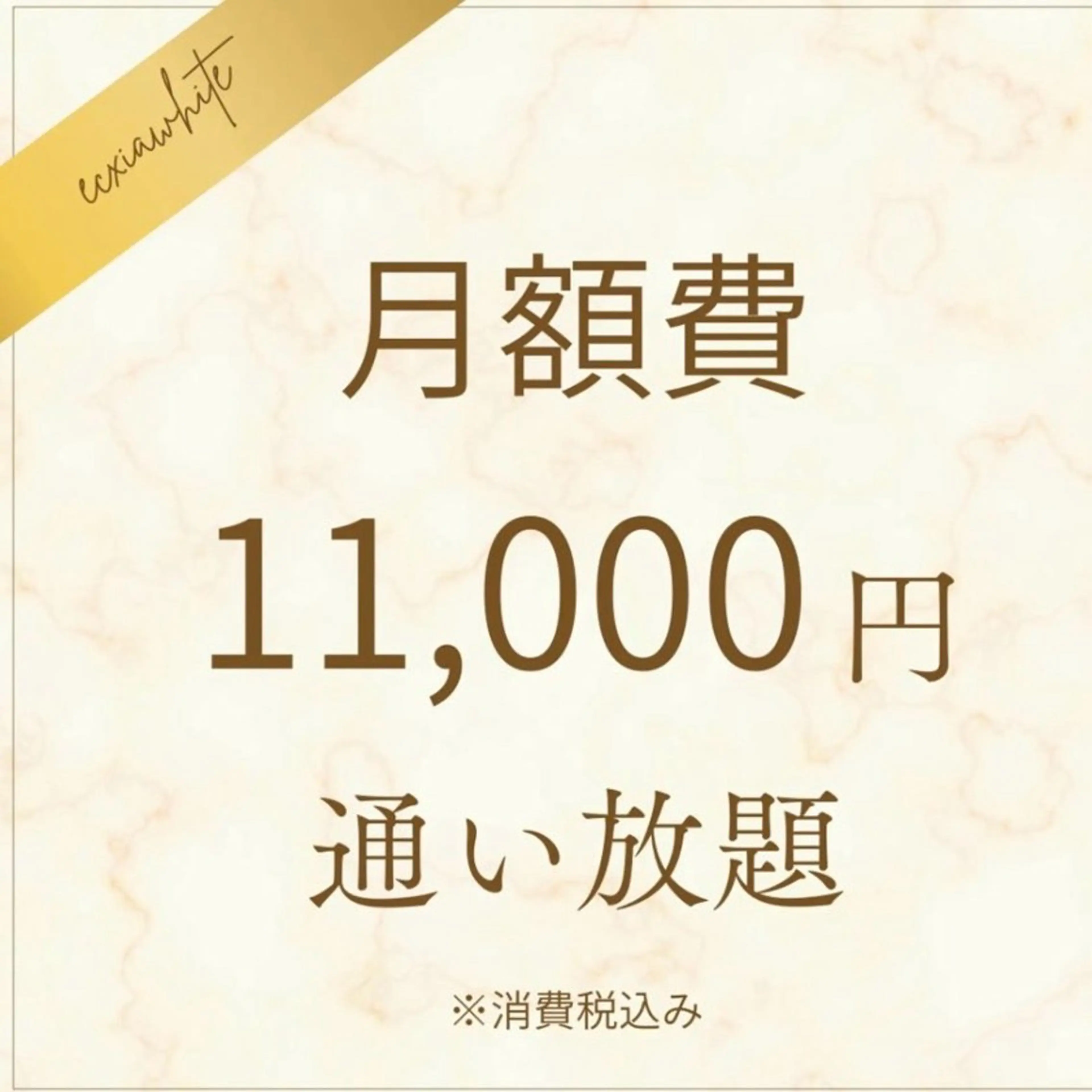 【月額11000円で通い放題】白くすると決めたならこれ一択！セルフホワイトニング(9分×2回)の写真