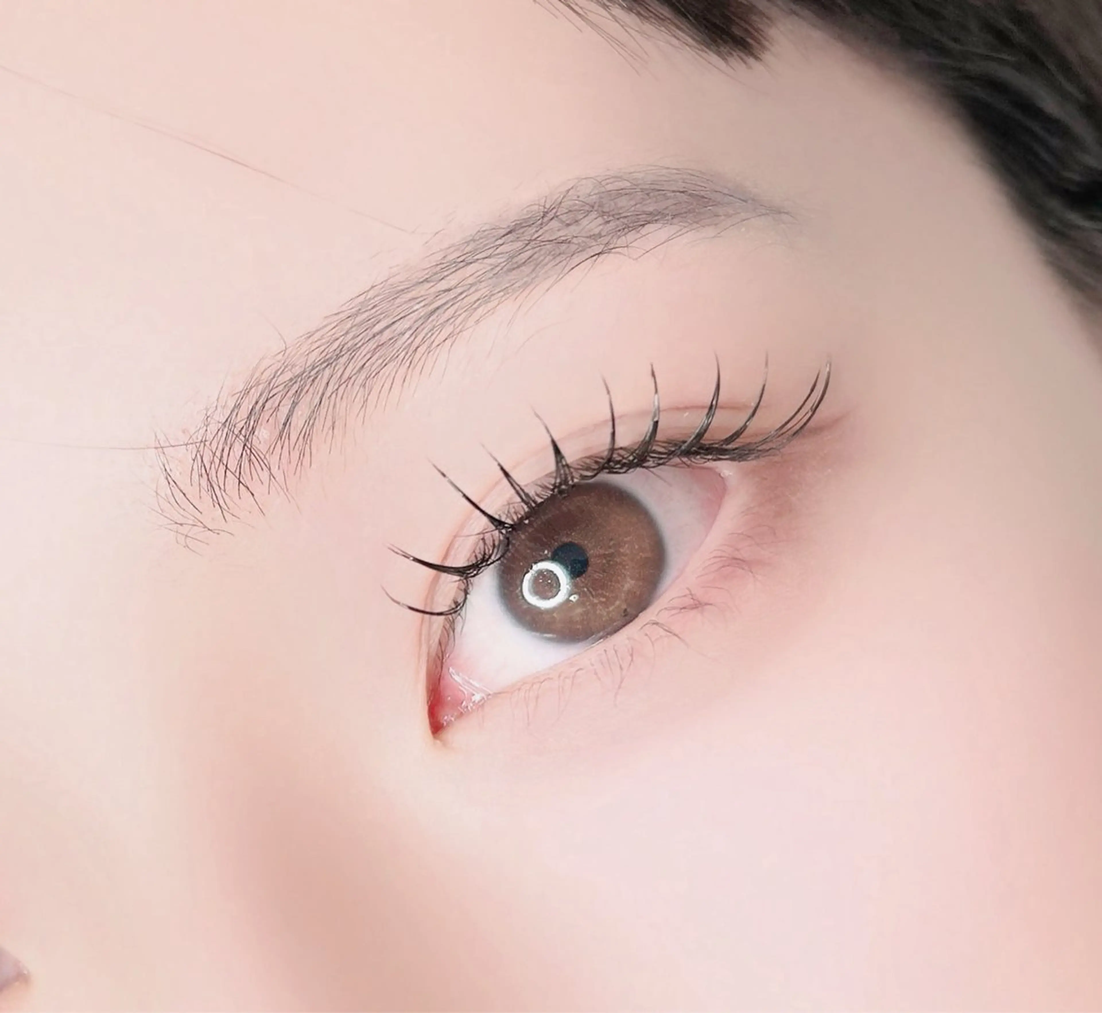 LED💫フラットラッシュ90分付け放題♪の写真