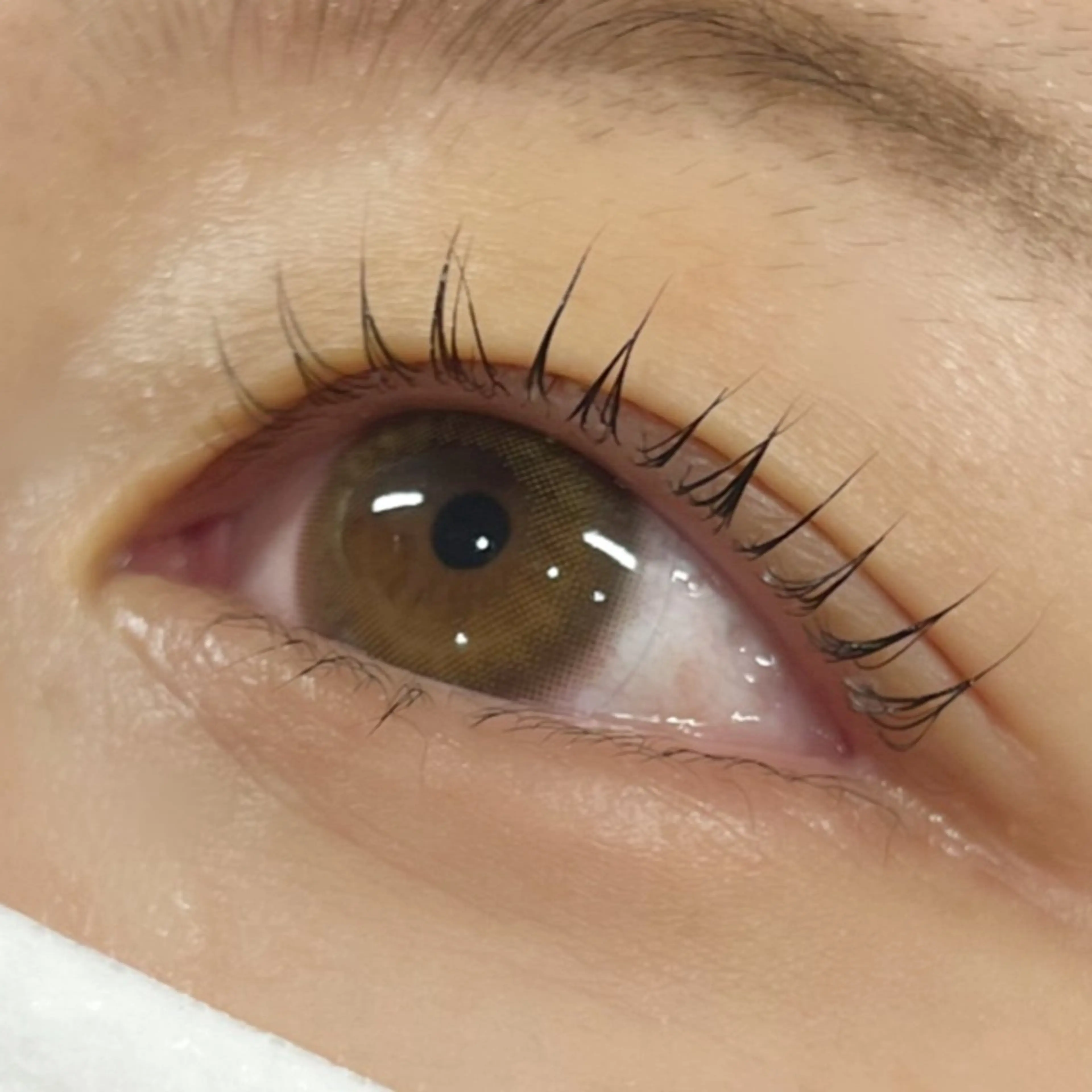 マツエク・マツパ Labelta .のマツエク・マツパデザイン