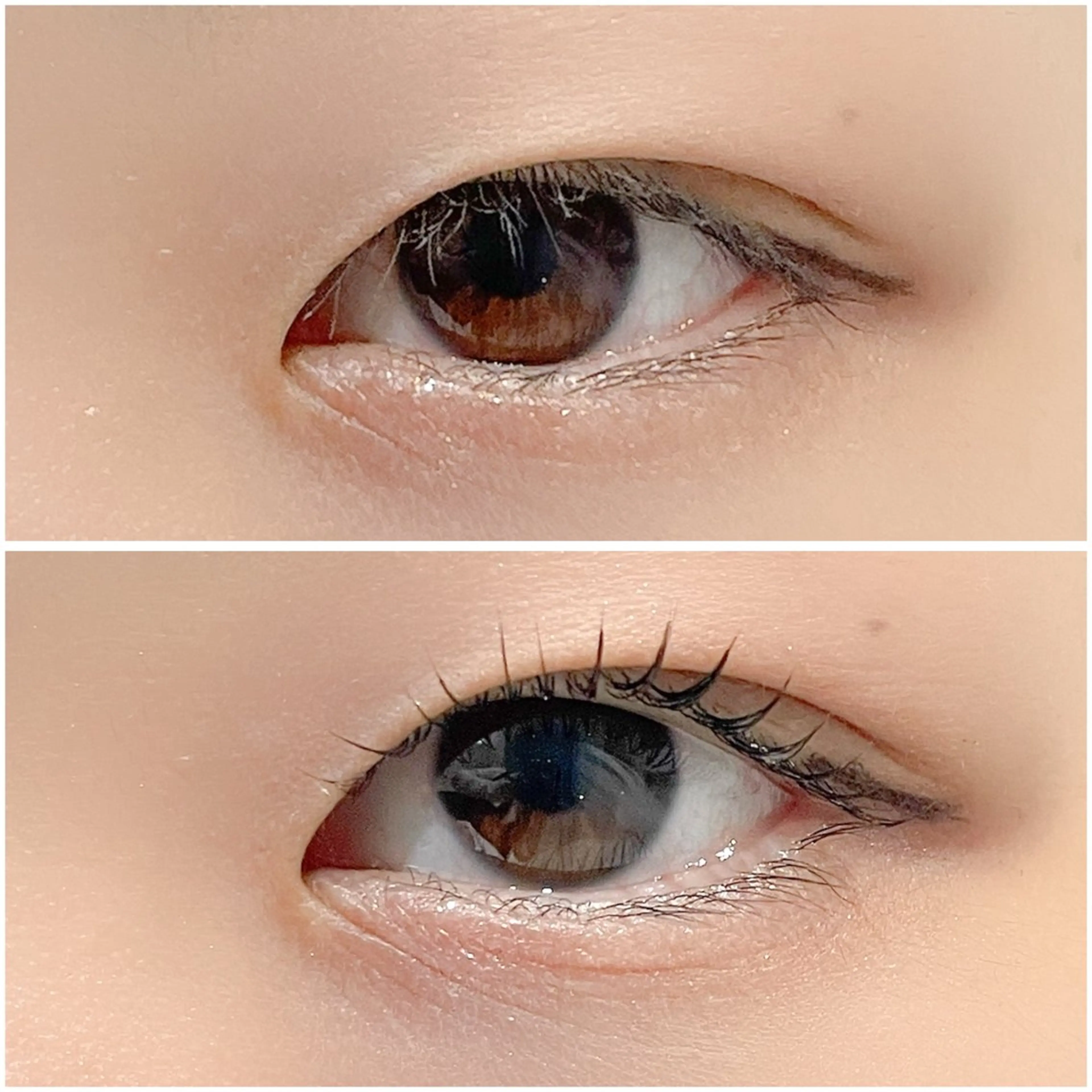 マツエク・マツパ 一重×まつ毛パーマ マツパ 🤍Anna仙台店 田代 美咲‎🤍のマツエク・マツパデザイン