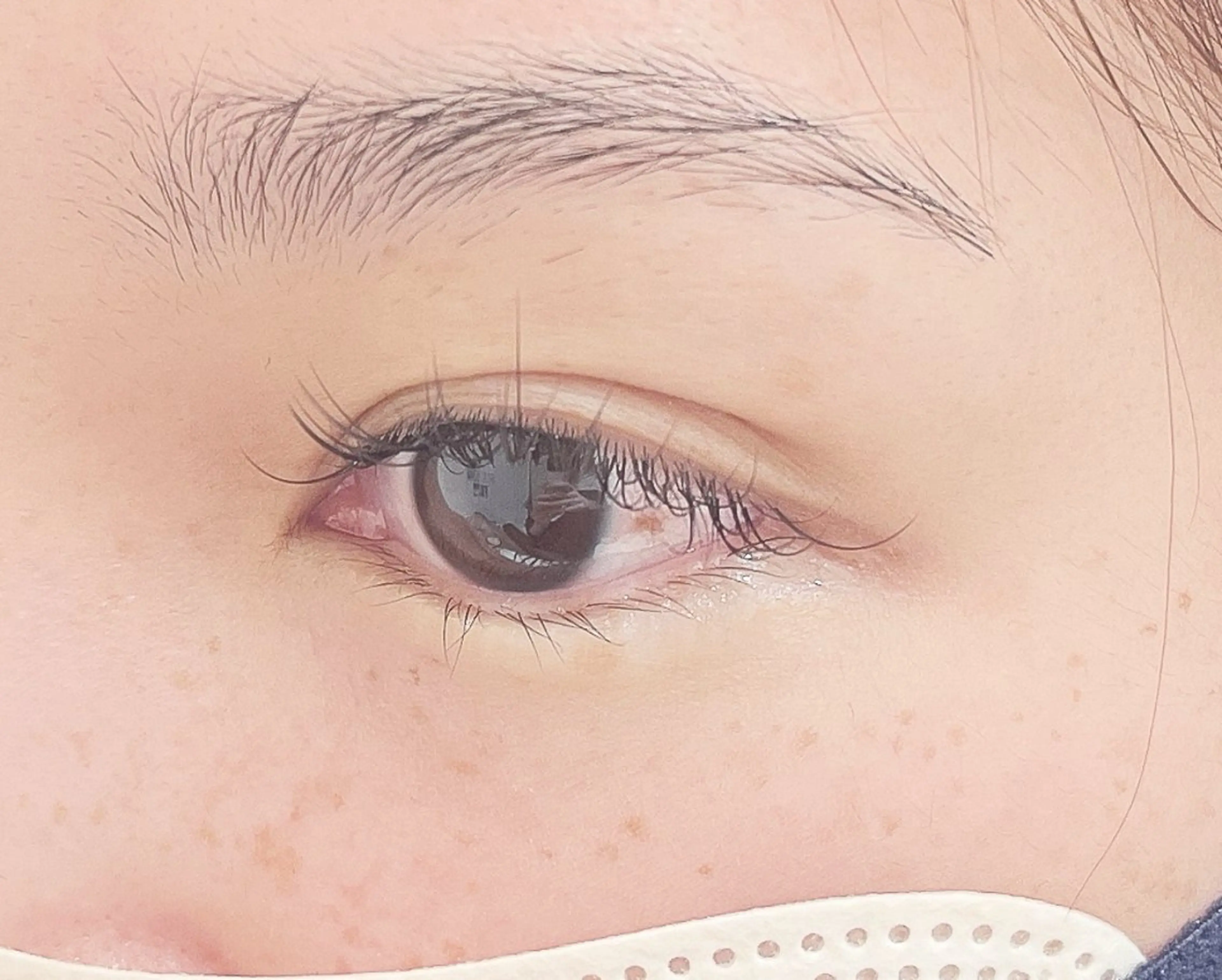 マツエク・マツパ セーブル ドーリーラッシュ 肱岡のマツエク・マツパデザイン