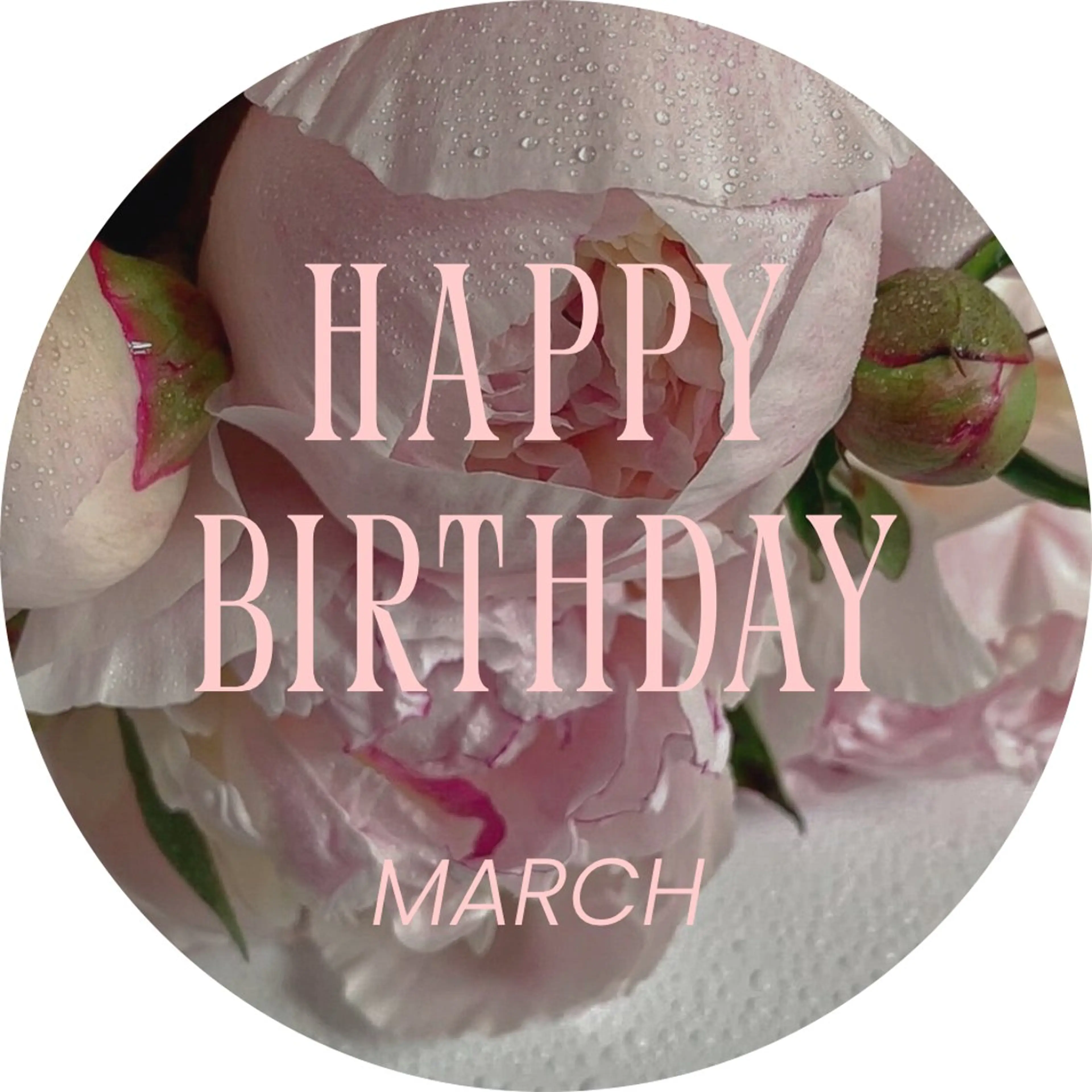 エステ DeI'm   名古屋栄所属・小林 玲菜のエステ・リラクイメージ