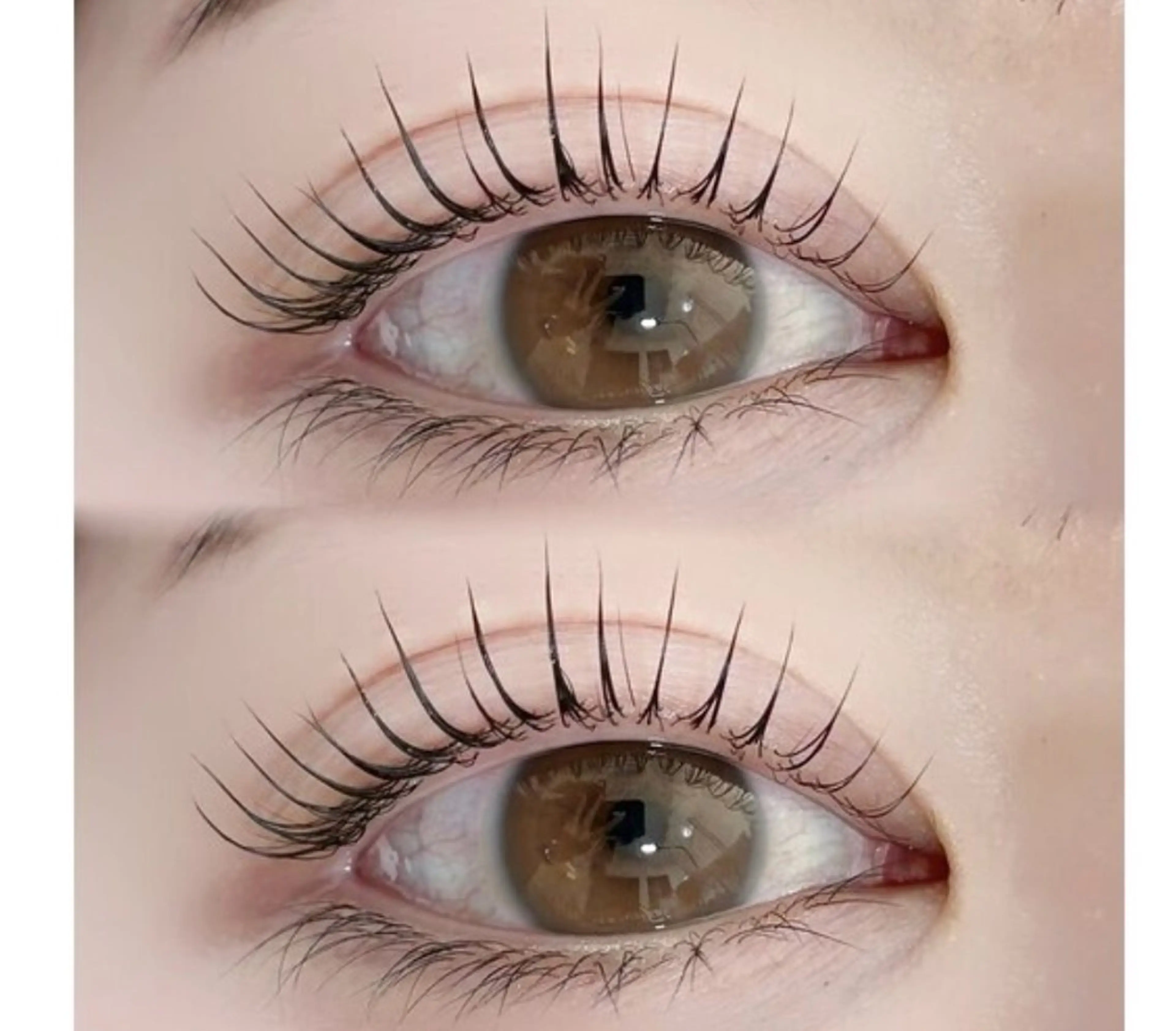 🧡フラットラッシュ🧡80〜100本🌟(オフあり)の写真