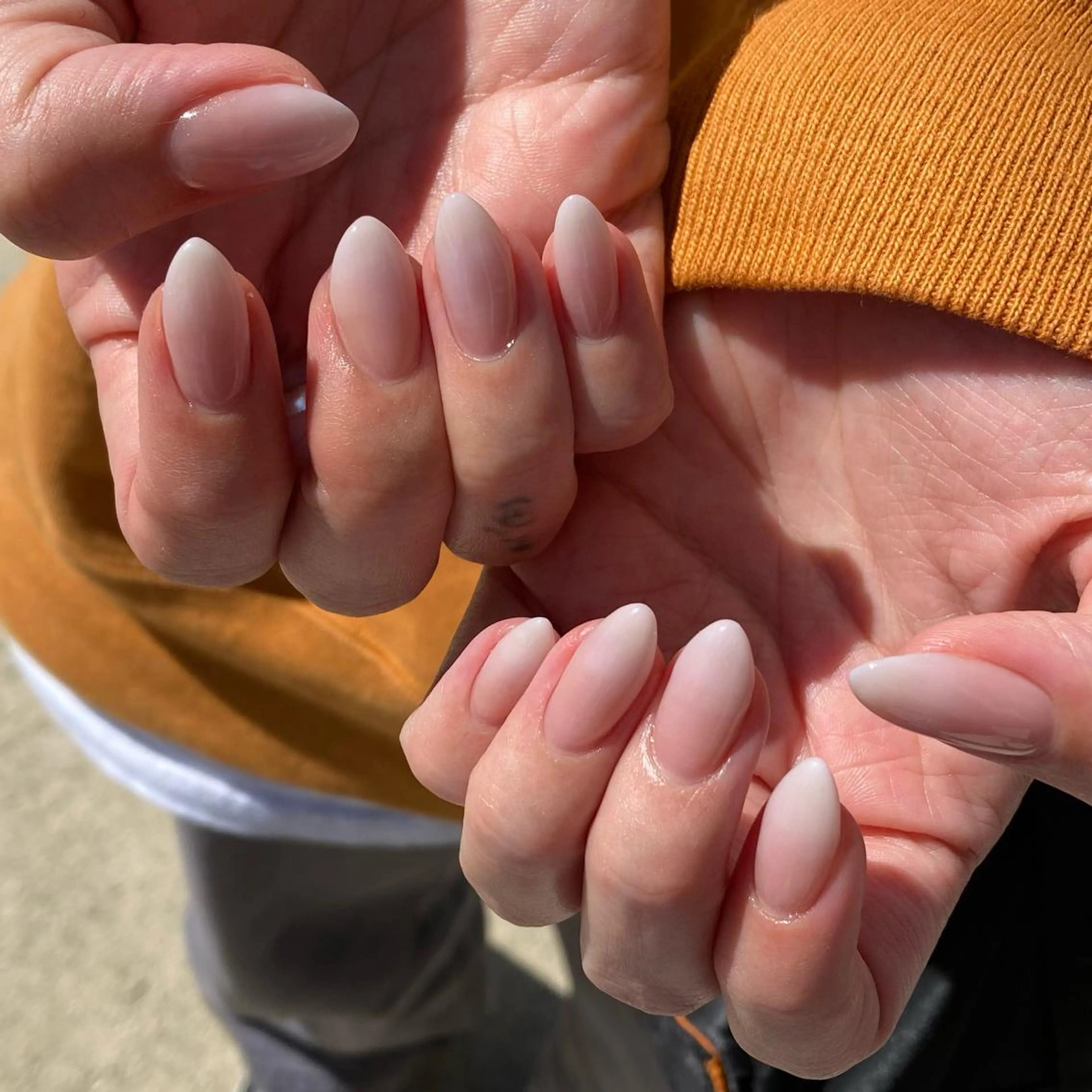 グラデーション　【2色まで】フィルイン込の写真