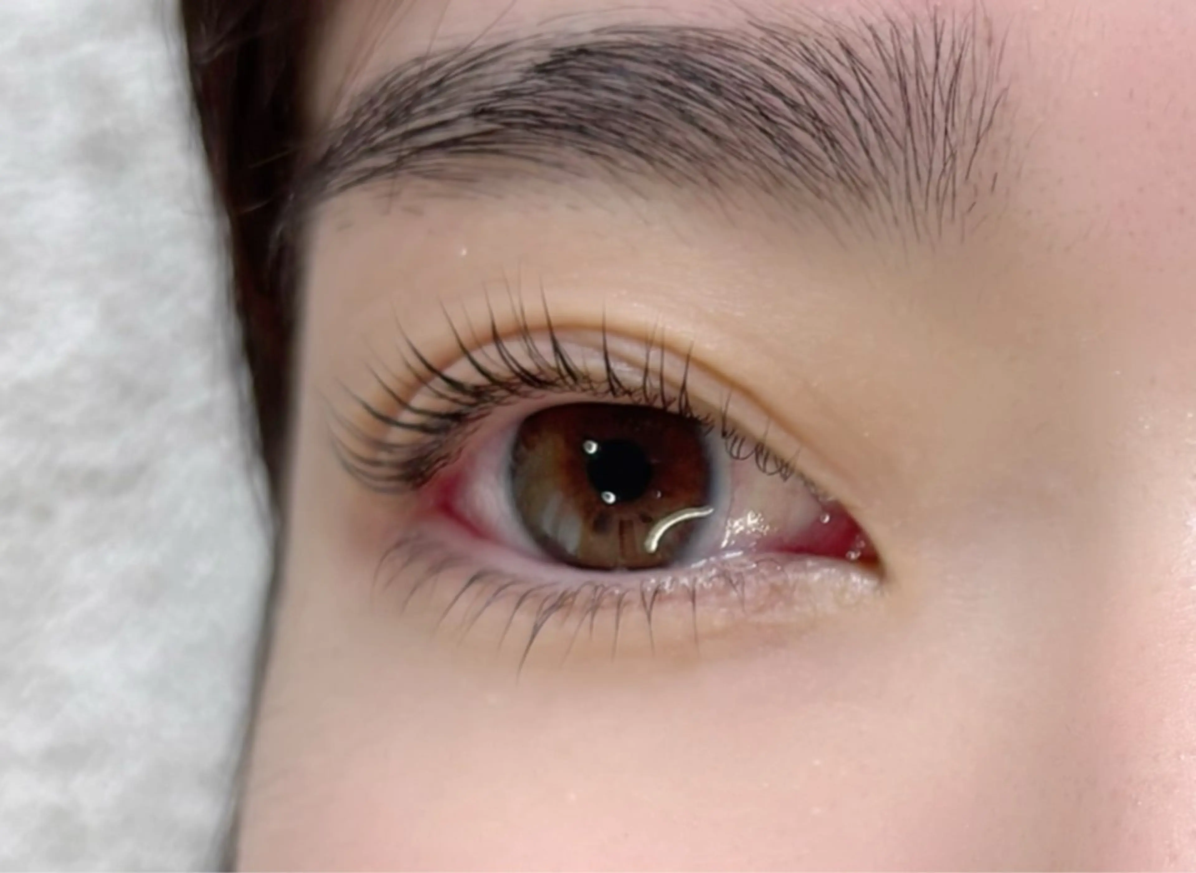 マツエク・マツパ まつげパーマ Salon Reneju所属・小泉 Namiのマツエク・マツパデザイン