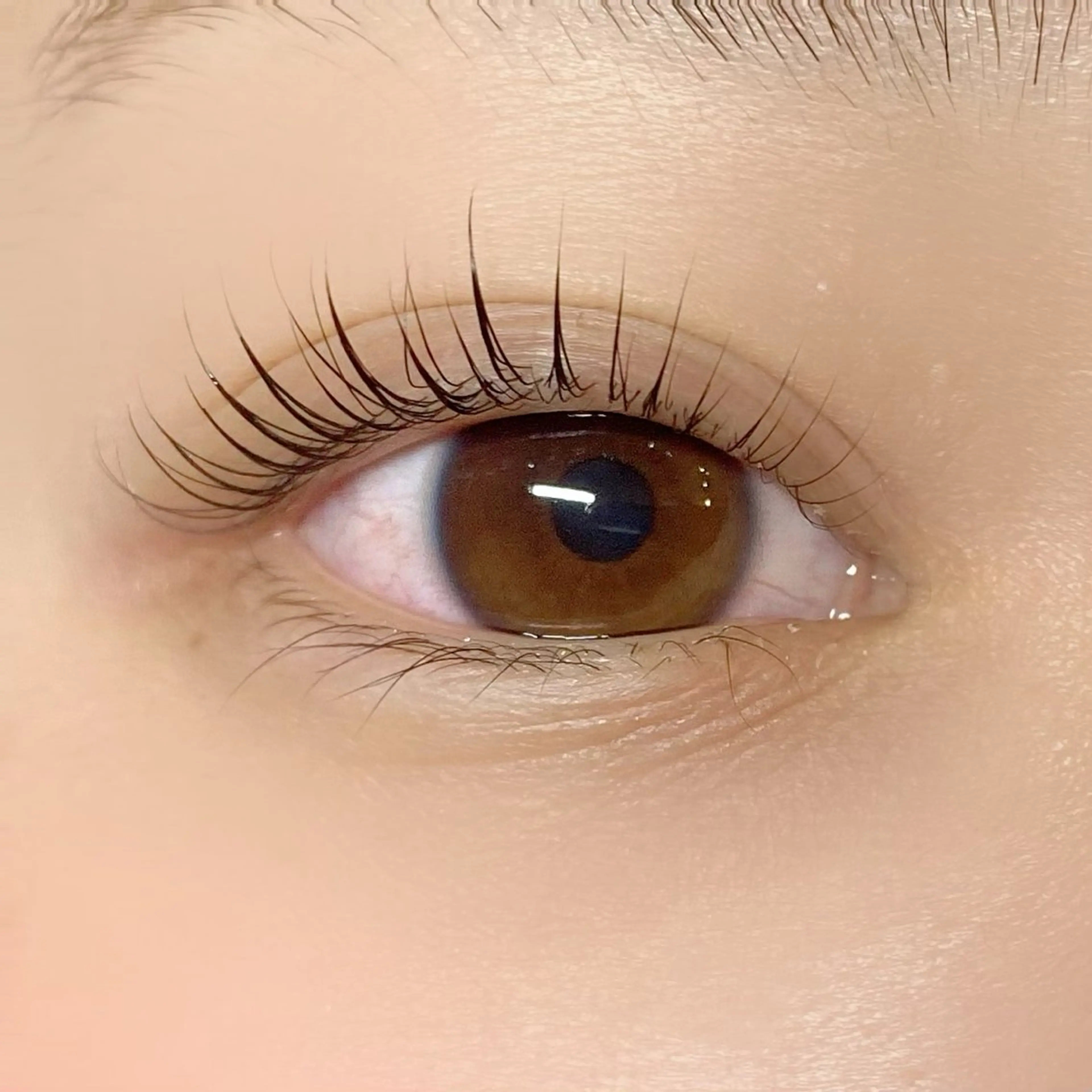 パーマ Butterfly川崎店所属・Butterfly 有薗の眉毛・アイブロウイメージ