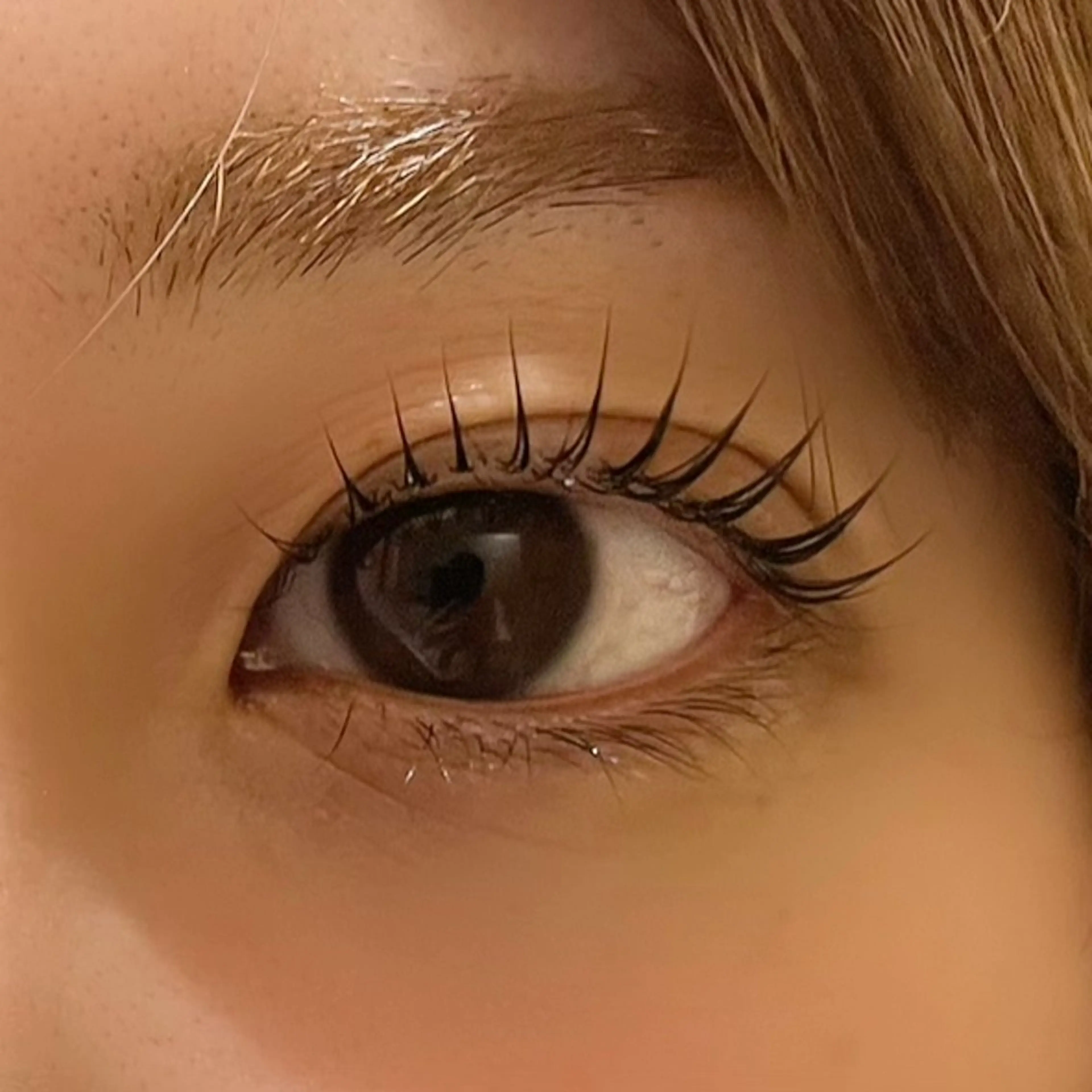 🫧パリジェンヌラッシュリフト🫧（束間コーティング付き）の写真