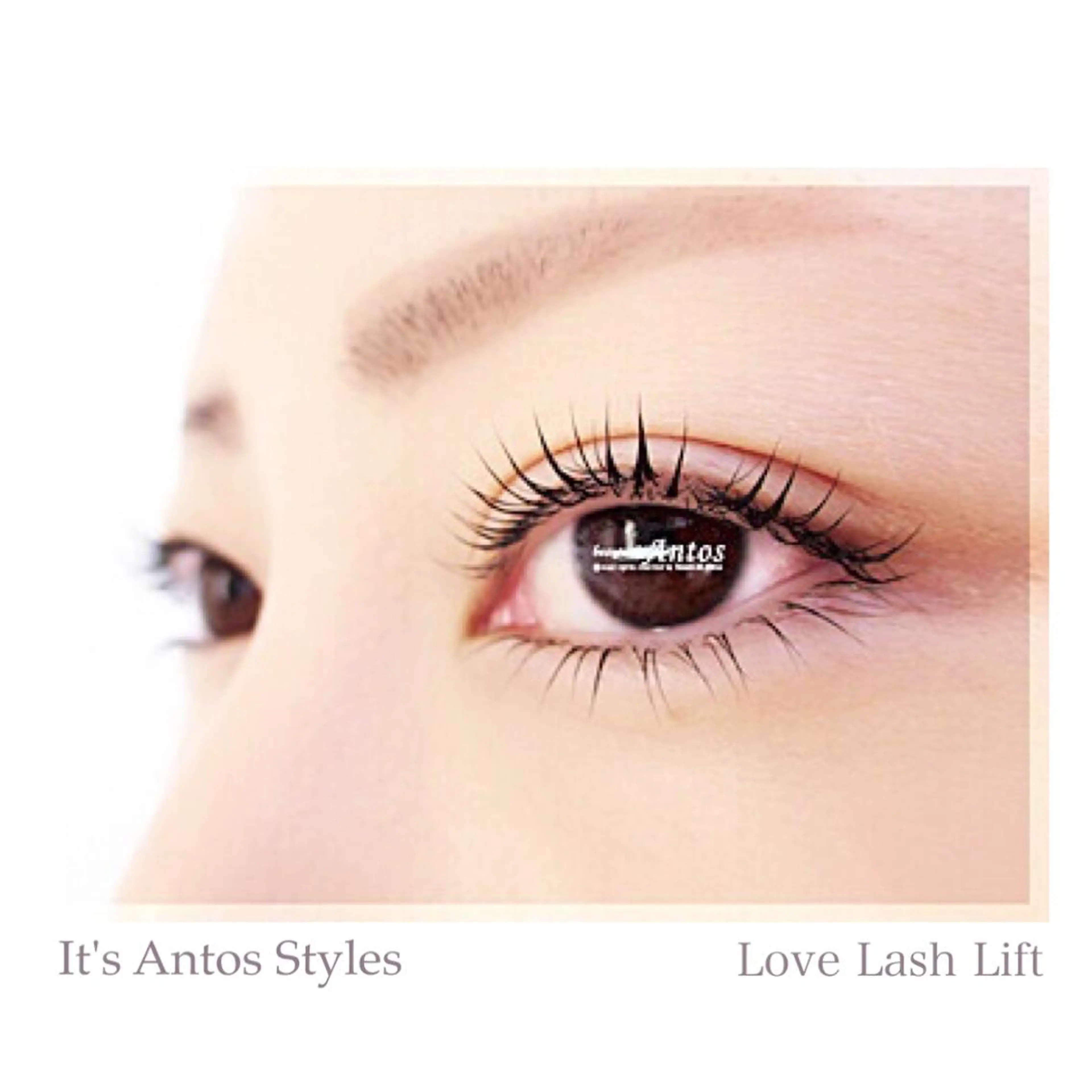 マツエク・マツパ まつげパーマ 下まつげエクステ まつげ&眉の専門店 アントススタッフの眉毛・アイブロウイメージ