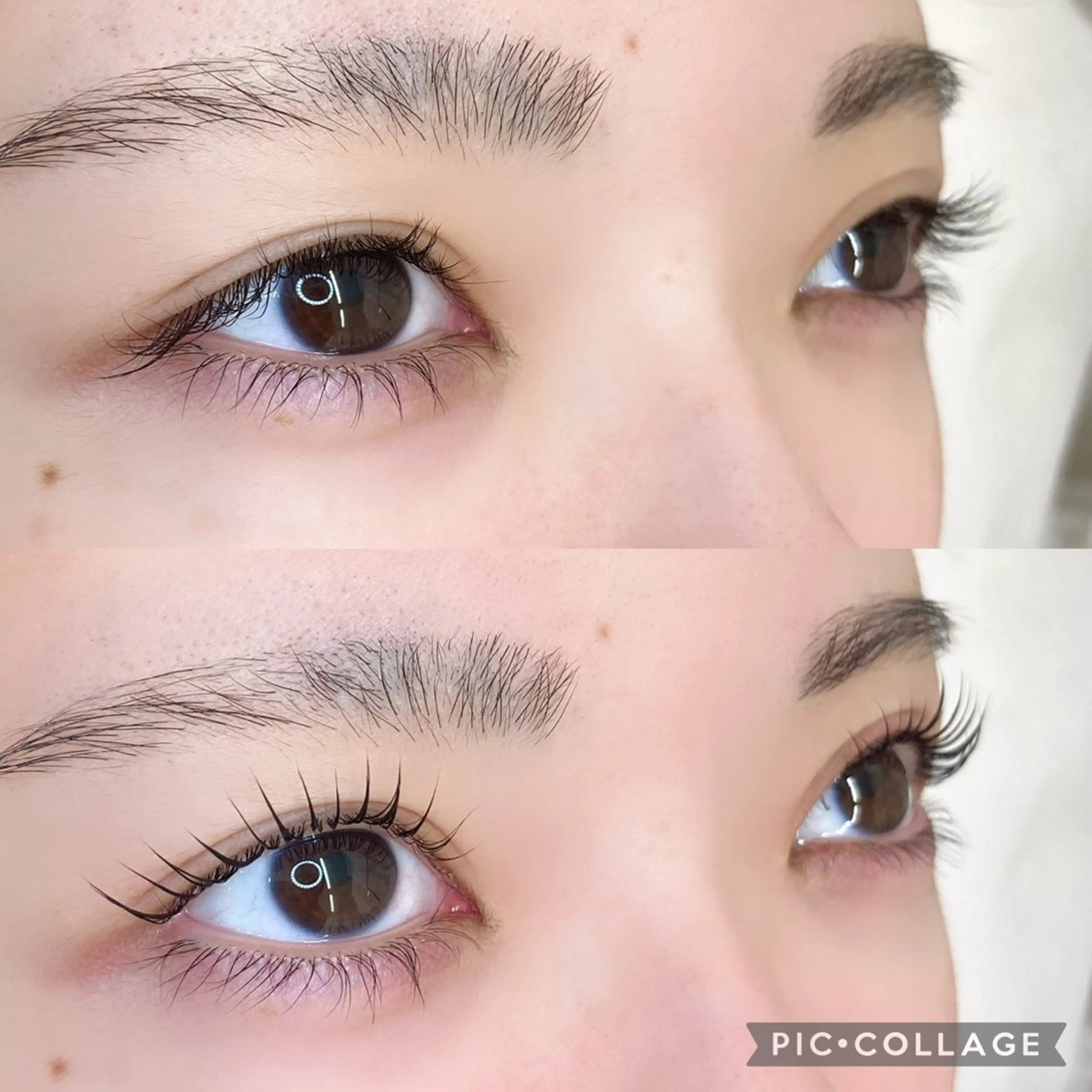 マツエク・マツパ TIARA池袋西口店 店長YASUKA💐のマツエク・マツパデザイン