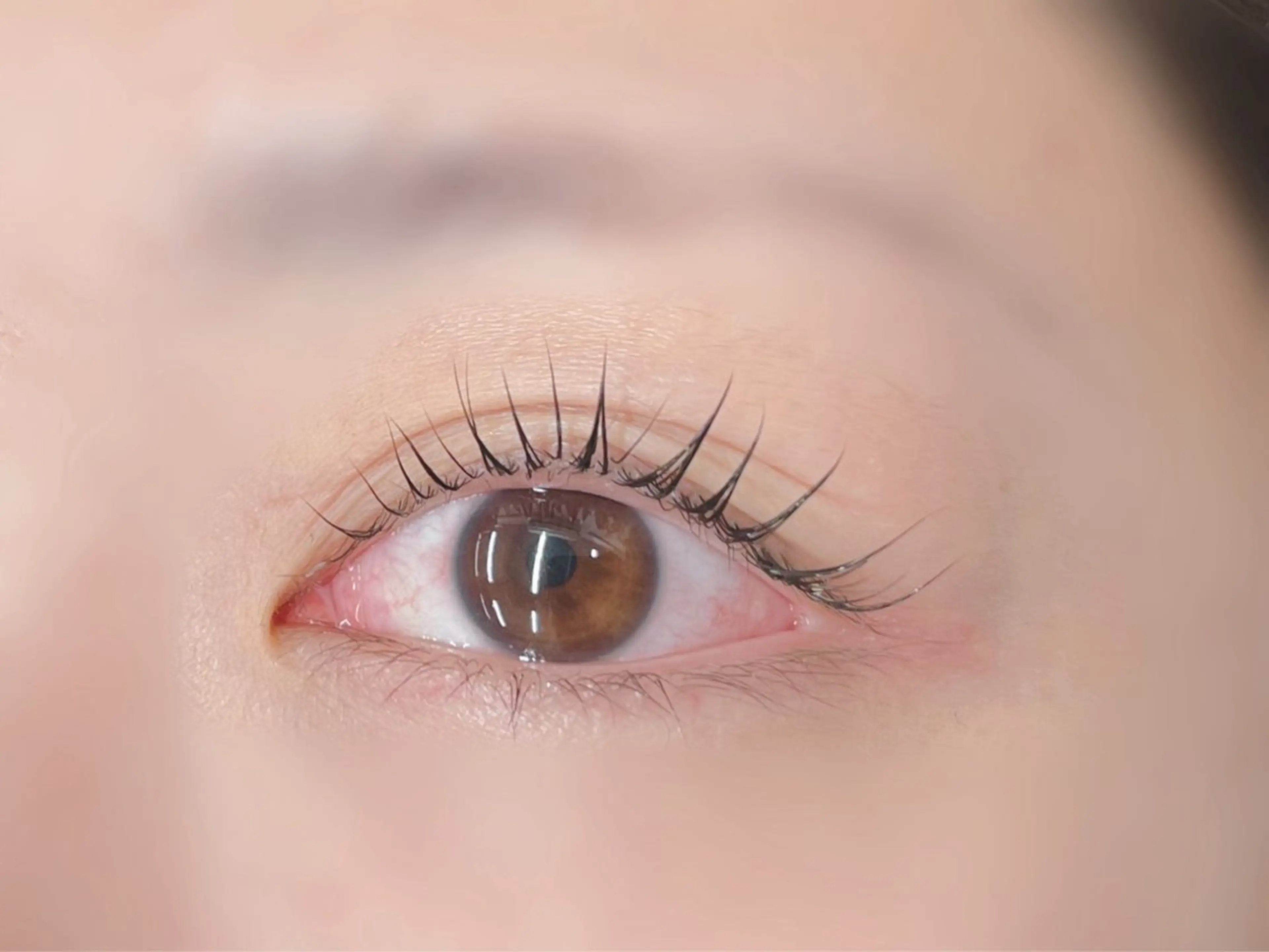 マツエク・マツパ パリジェンヌラッシュリフト マツパ 🪼ひとみ🪼半個室 Amour菊川店のマツエク・マツパデザイン