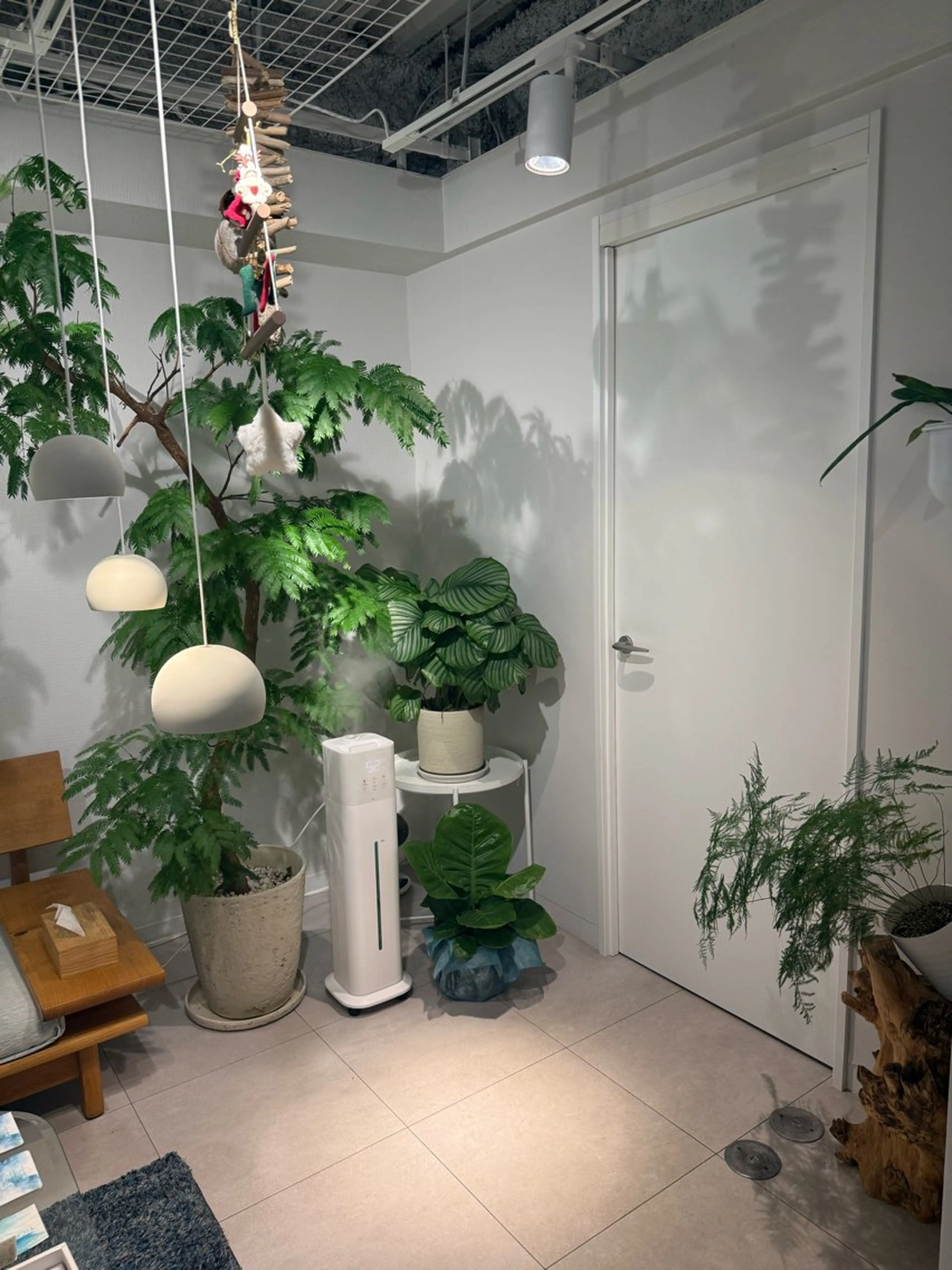 浦仲 千奈津のエステ・リラクイメージ