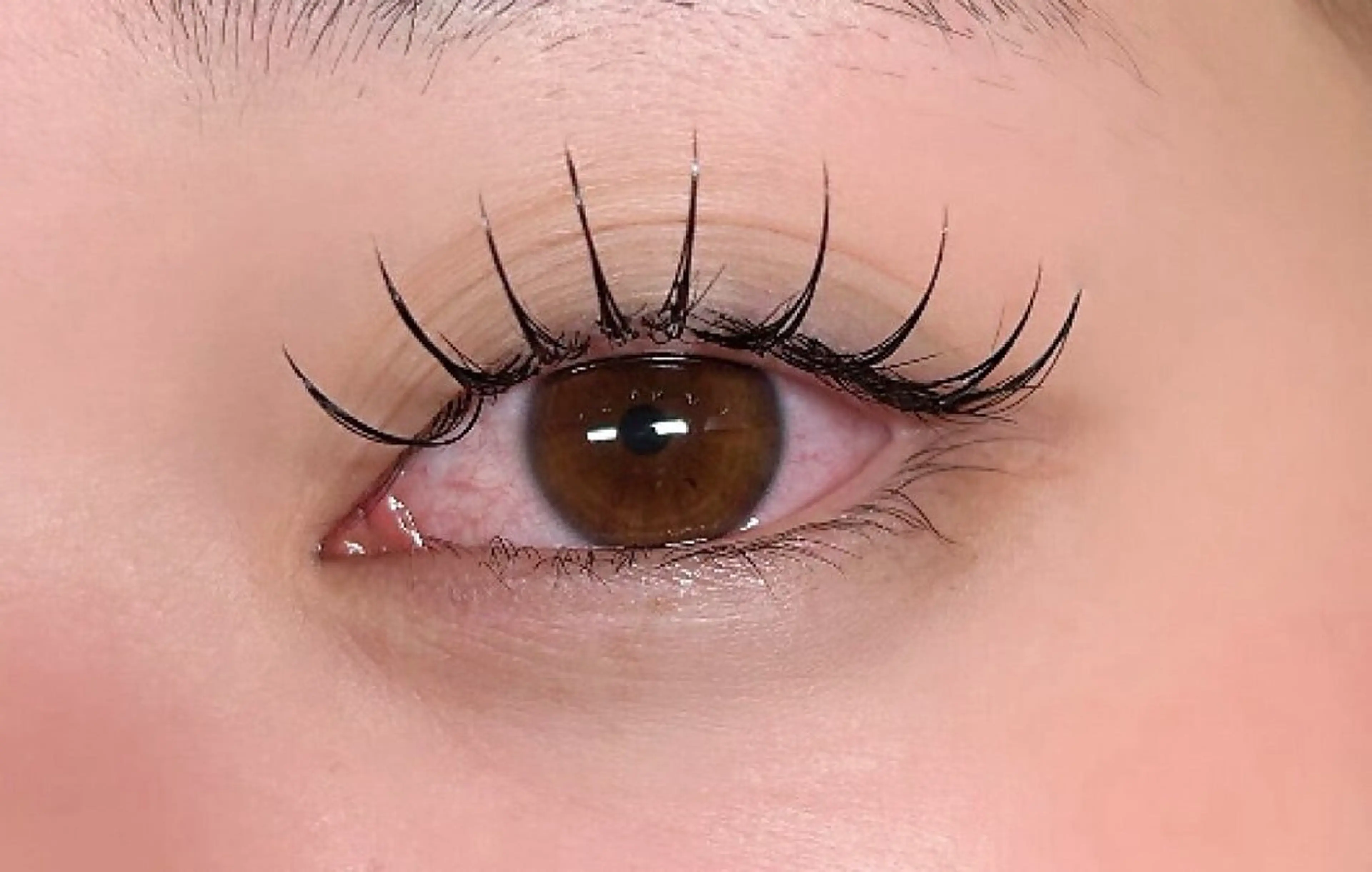 マツエク・マツパ マツエク パレス MAIのマツエク・マツパデザイン