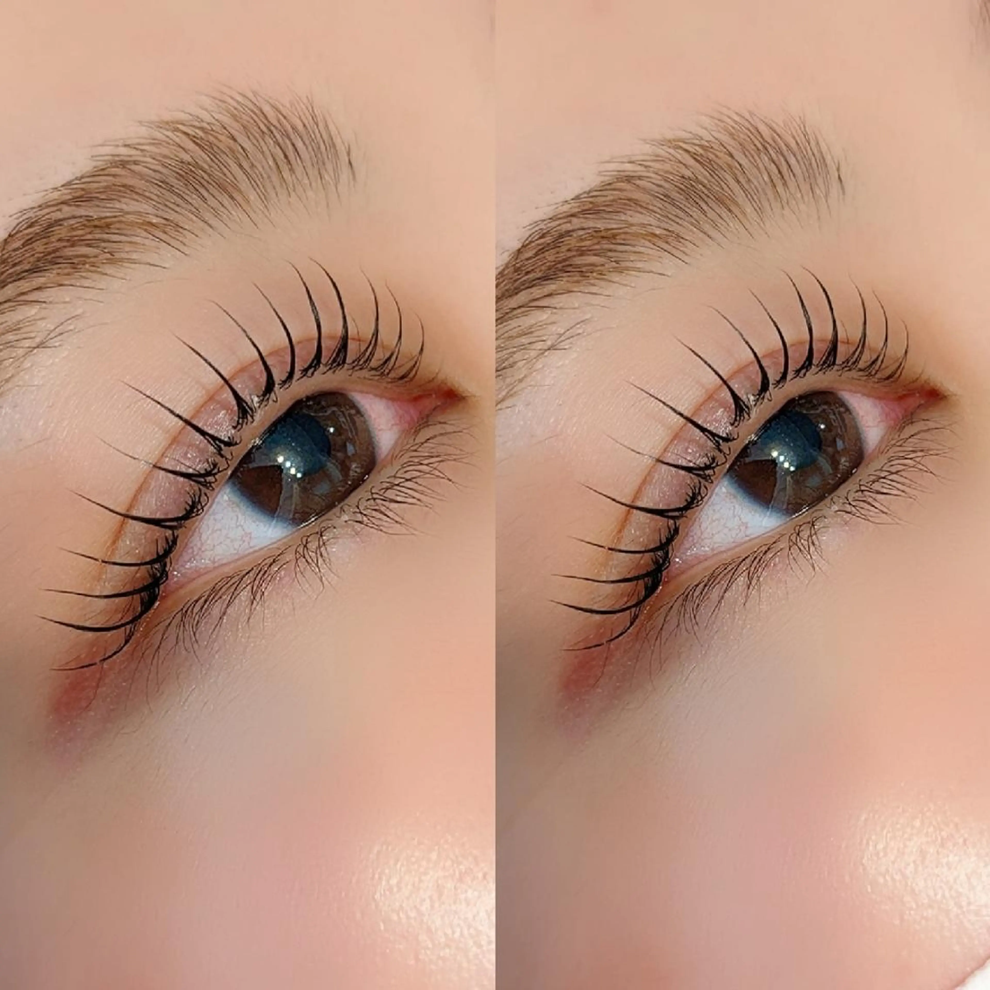 ブロウリフト&まつ毛パーマ🌿の写真