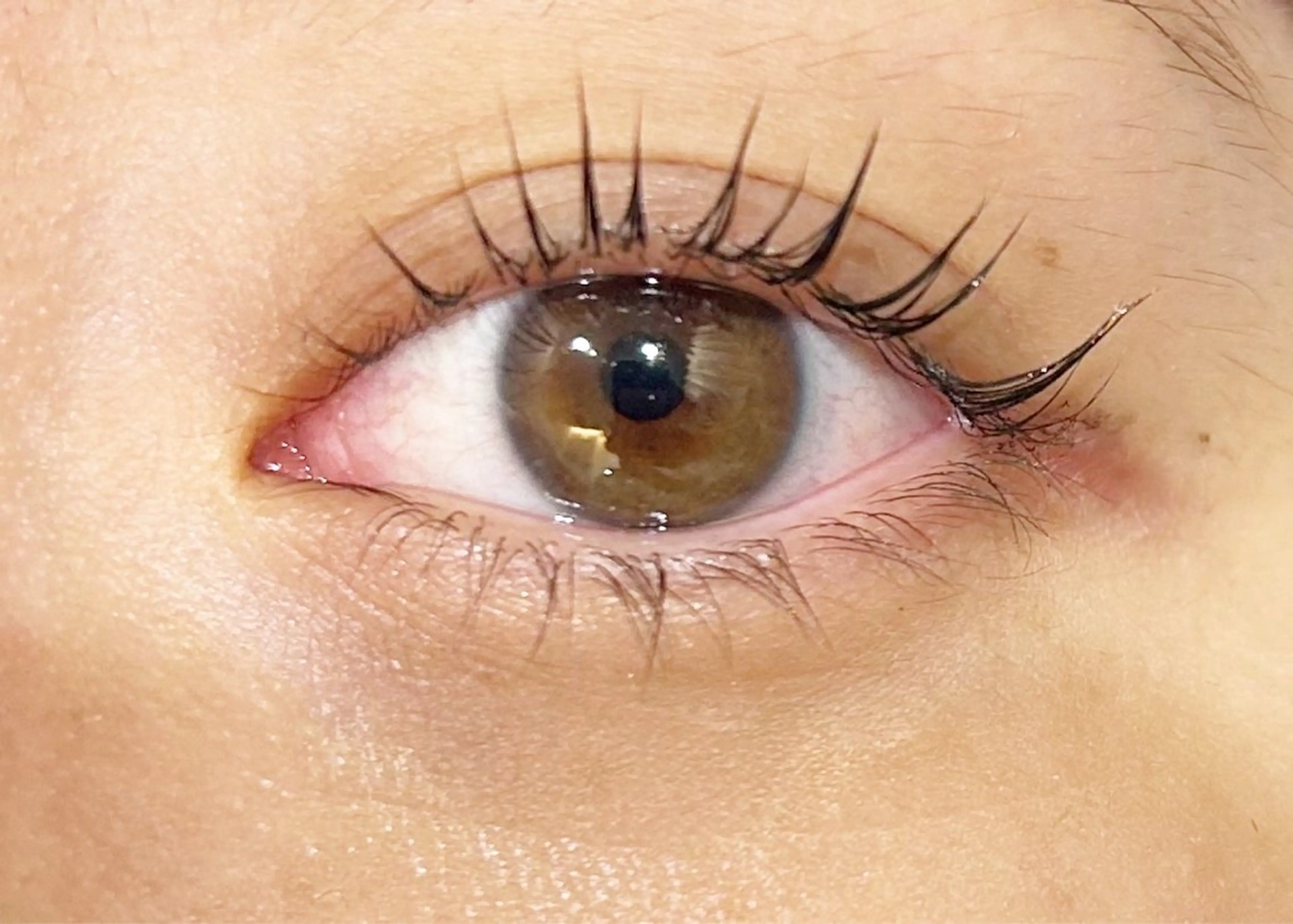 マツエク・マツパ マツパ 暖色系ツヤカラー コトノ🫧のヘアスタイル