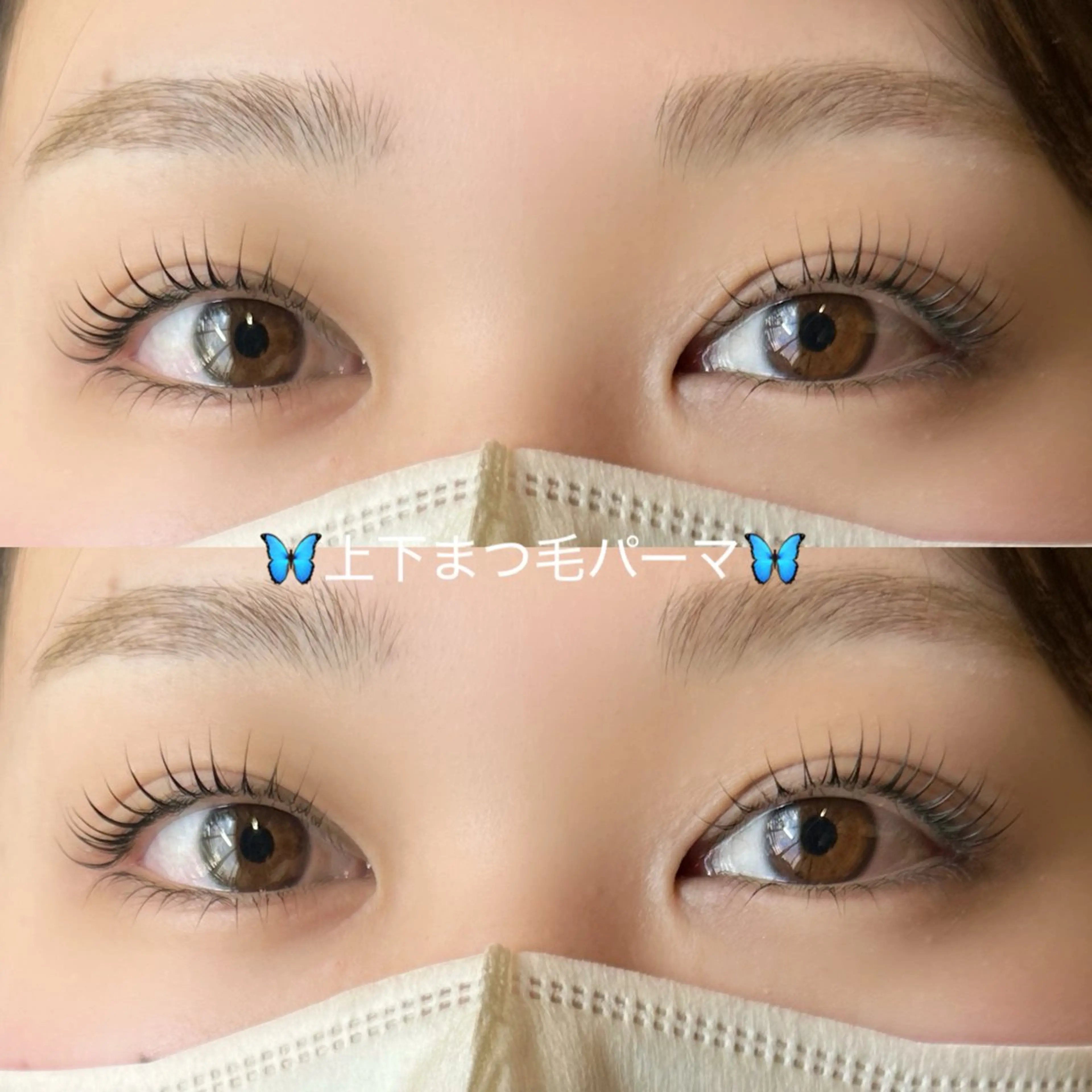 🦋上下🦋まつ毛パーマ+選べるトリートメントコーティング仕上げ付 ¥8,500の写真