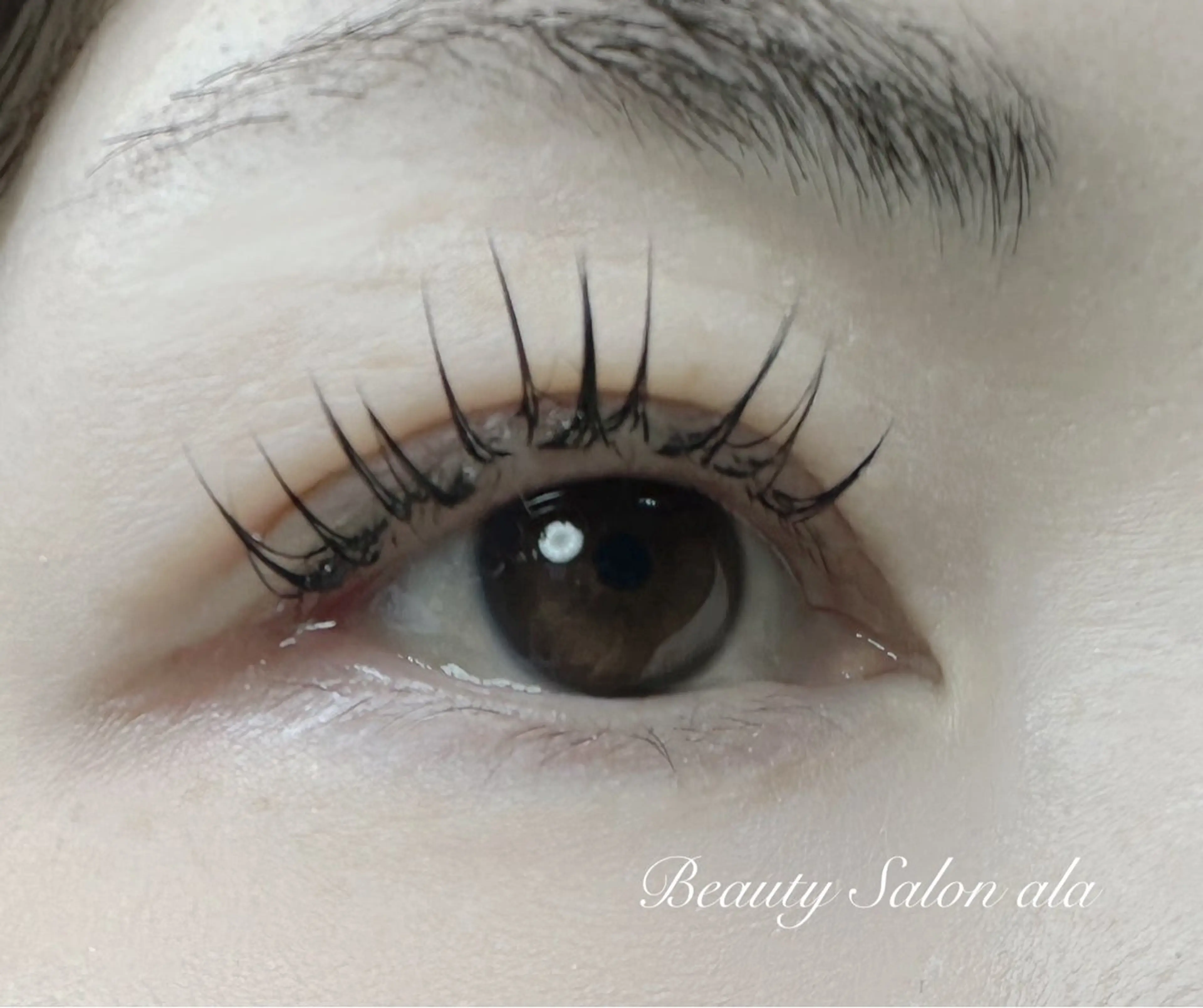 マツエク・マツパ マツエク ala アーラのマツエク・マツパデザイン