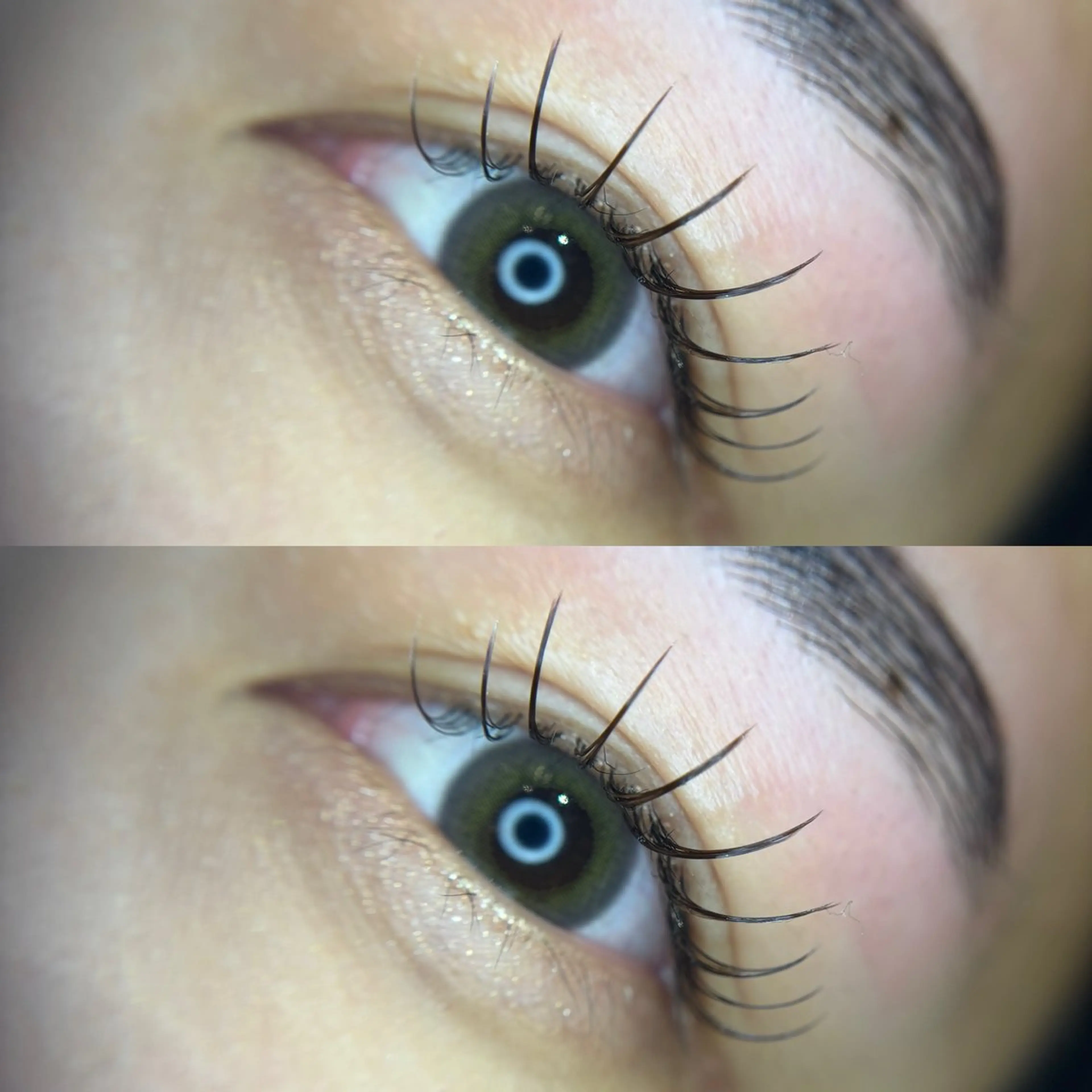 当日予約限定⭐️フラットマットラッシュ140本の写真