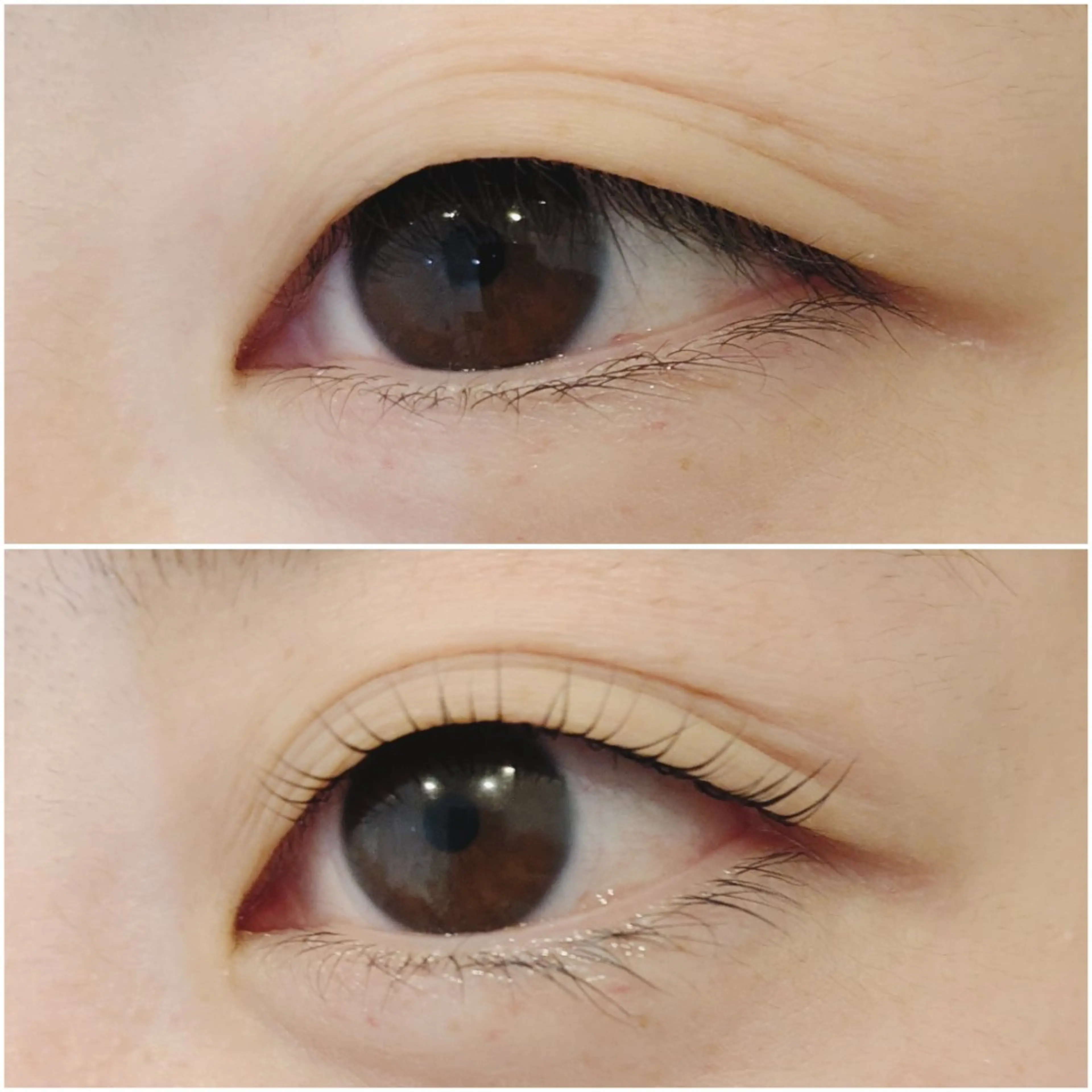 マツエク・マツパ 一重×まつ毛パーマ 【泉中央】CLASS 中村のマツエク・マツパデザイン