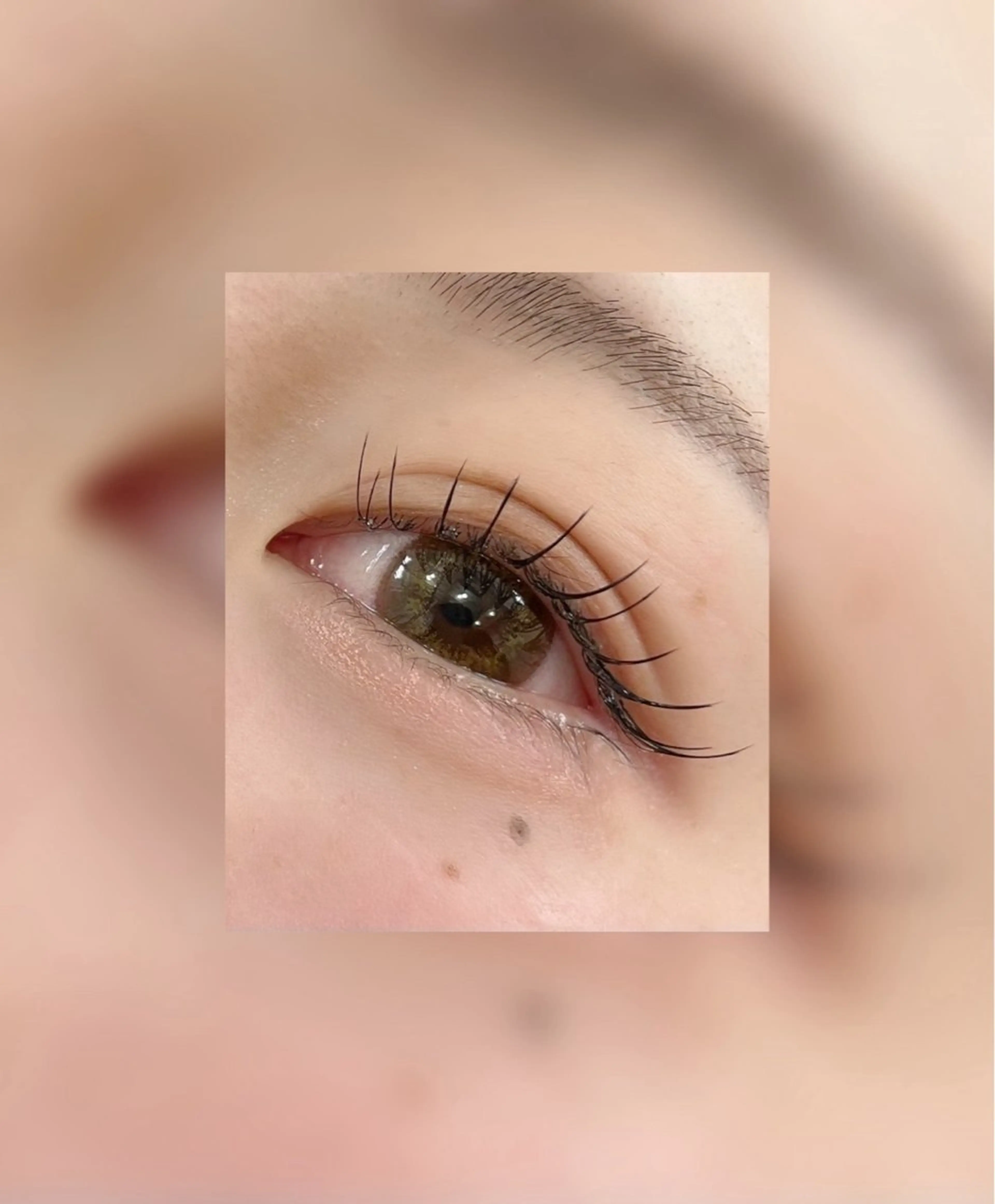 メーテルまつげパーマ+高保湿トリートメント+コーティング✨【5分以上遅れると施術出来ない場合がございます】の写真