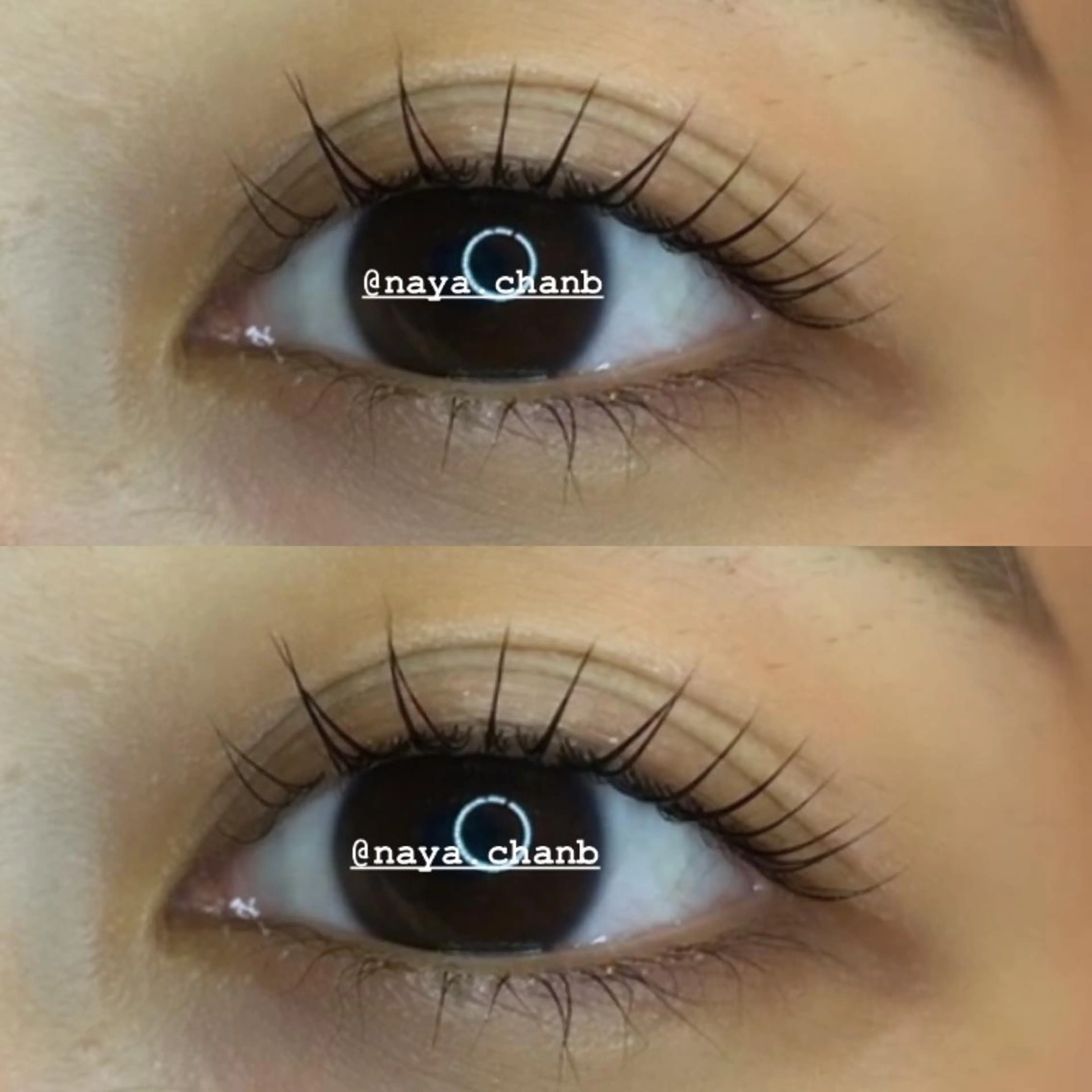 マツエク・マツパ アイラッシュリゾート　カハラ　立川所属・🦎kahala なや🦎のマツエク・マツパデザイン