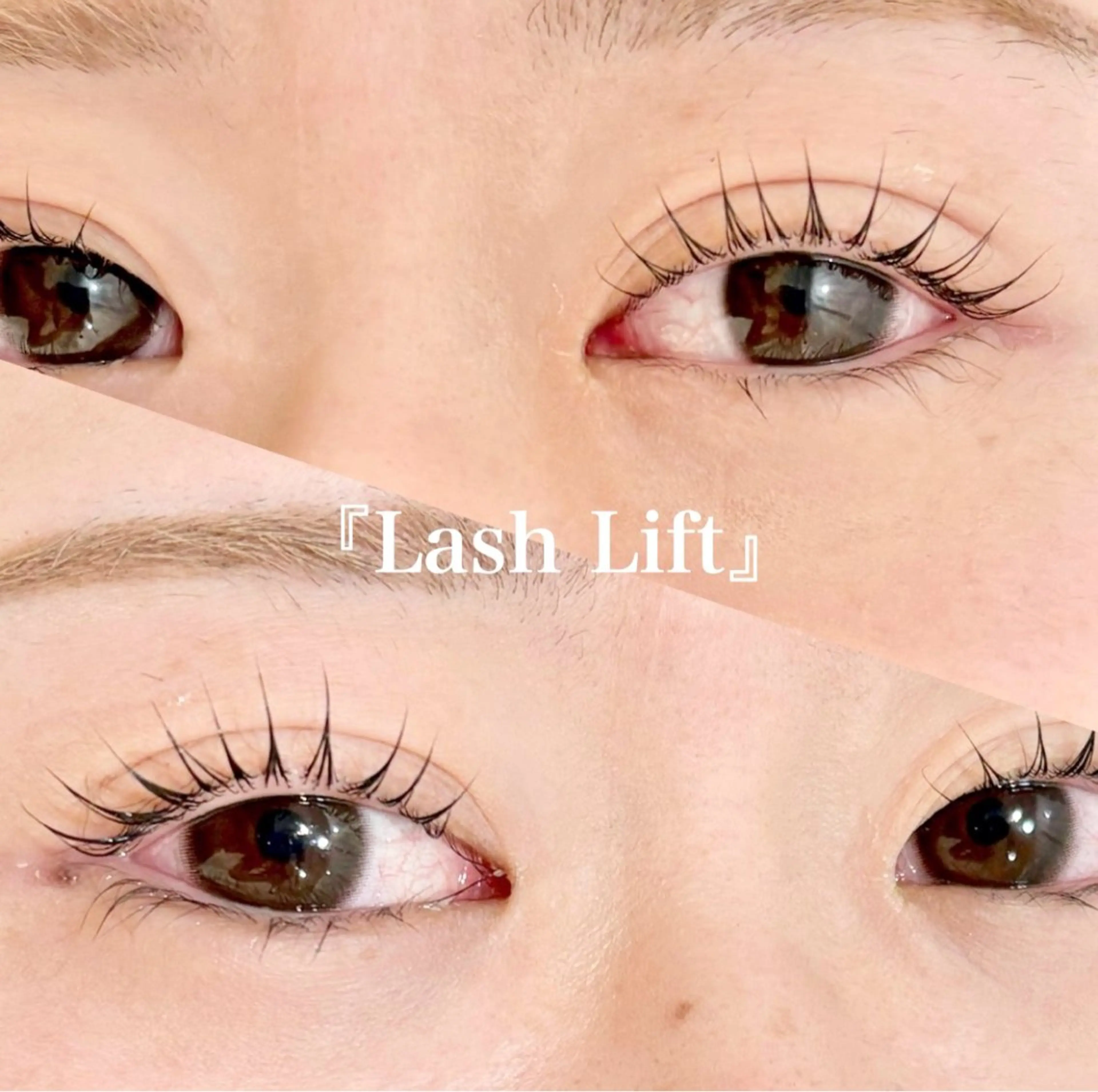 1/23.26.27ご予約限定【ご新規様のみ】🍒まつ毛パーマorパリジェンヌ🍒束コーティング&アイシャンプー付きの写真