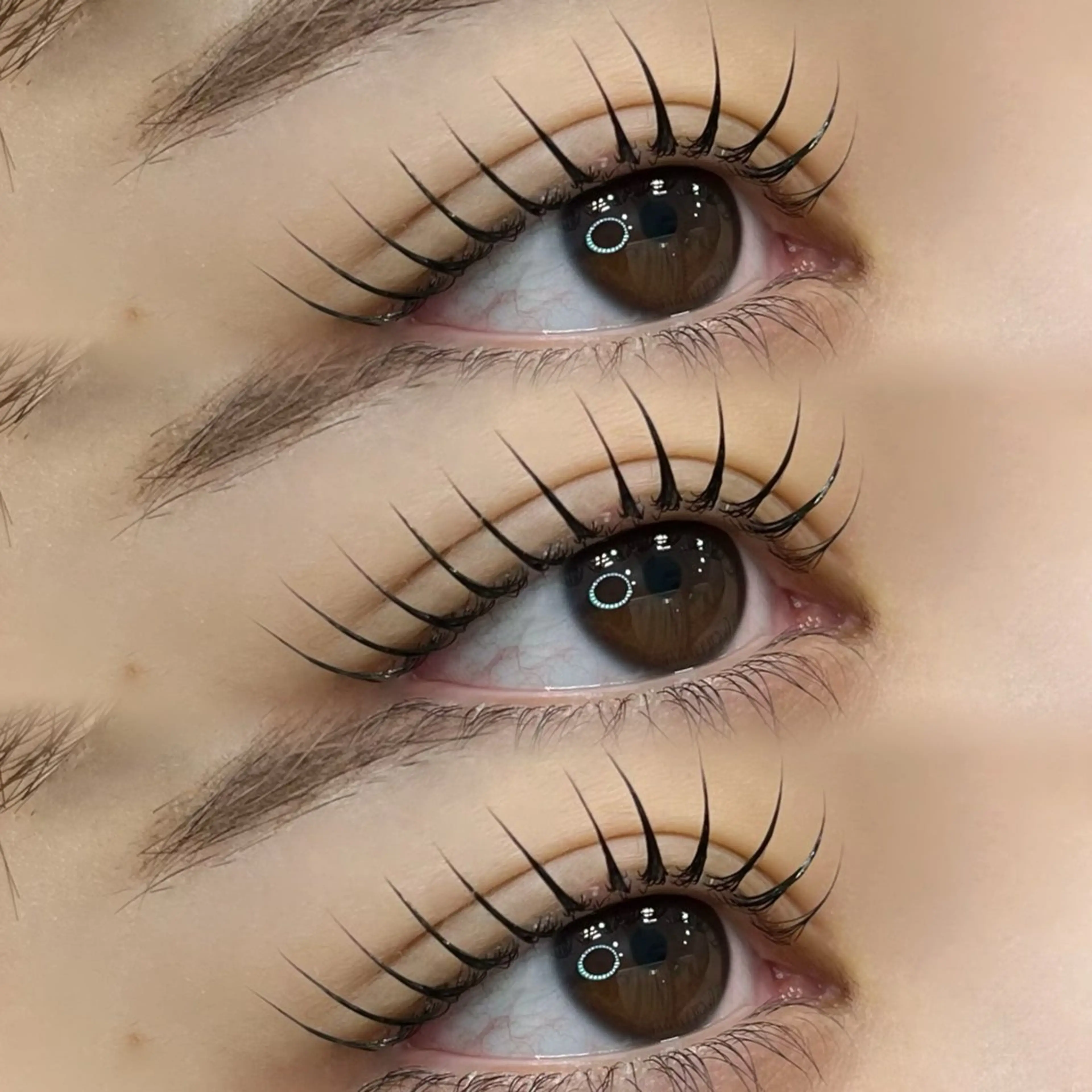 まつ毛パーマorパリジェンヌラッシュリフト ¥6,500の写真