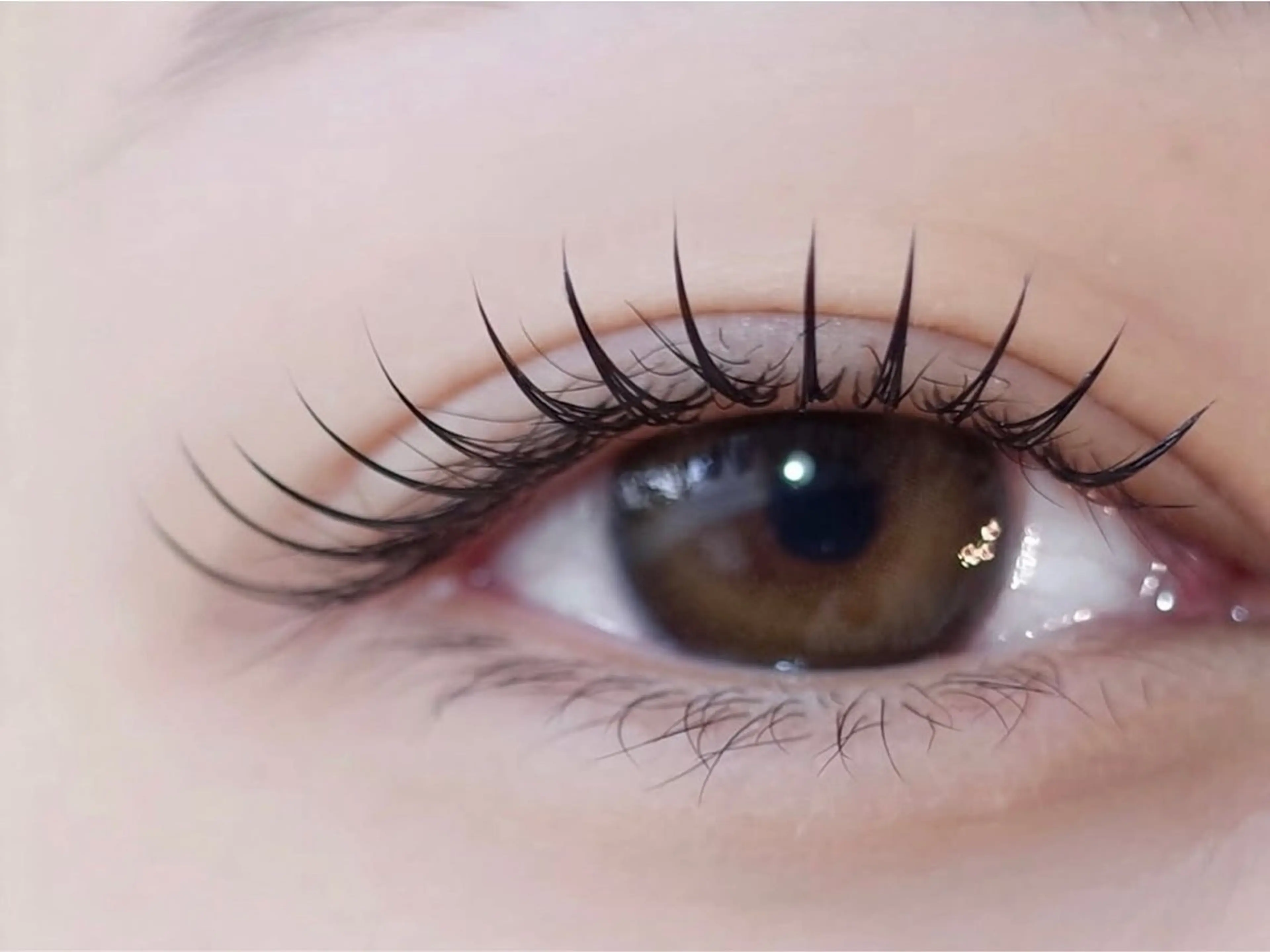 マツエク・マツパ マツエク Max eyelash池袋のマツエク・マツパデザイン