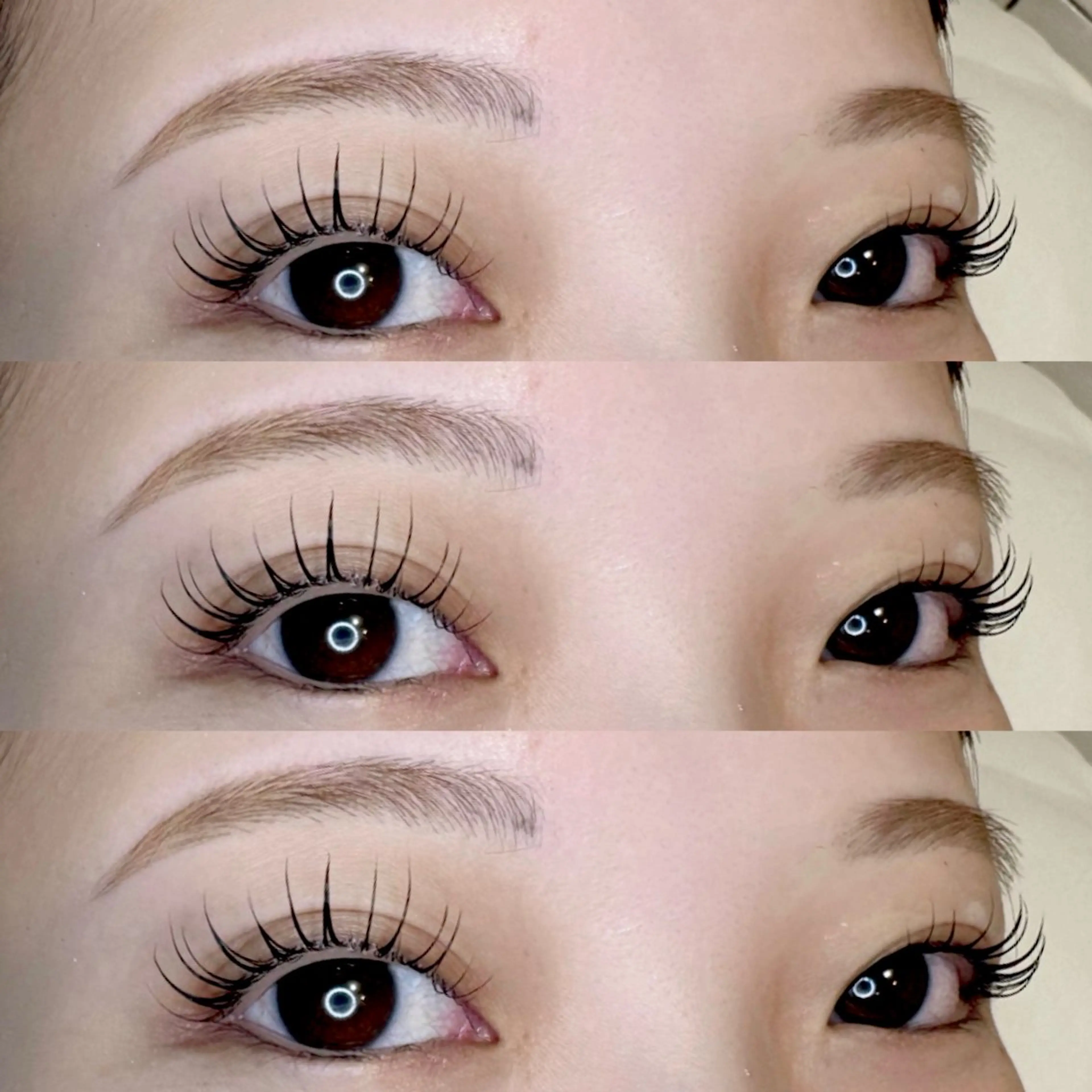 🦋フラットマットラッシュ80本🦋の写真