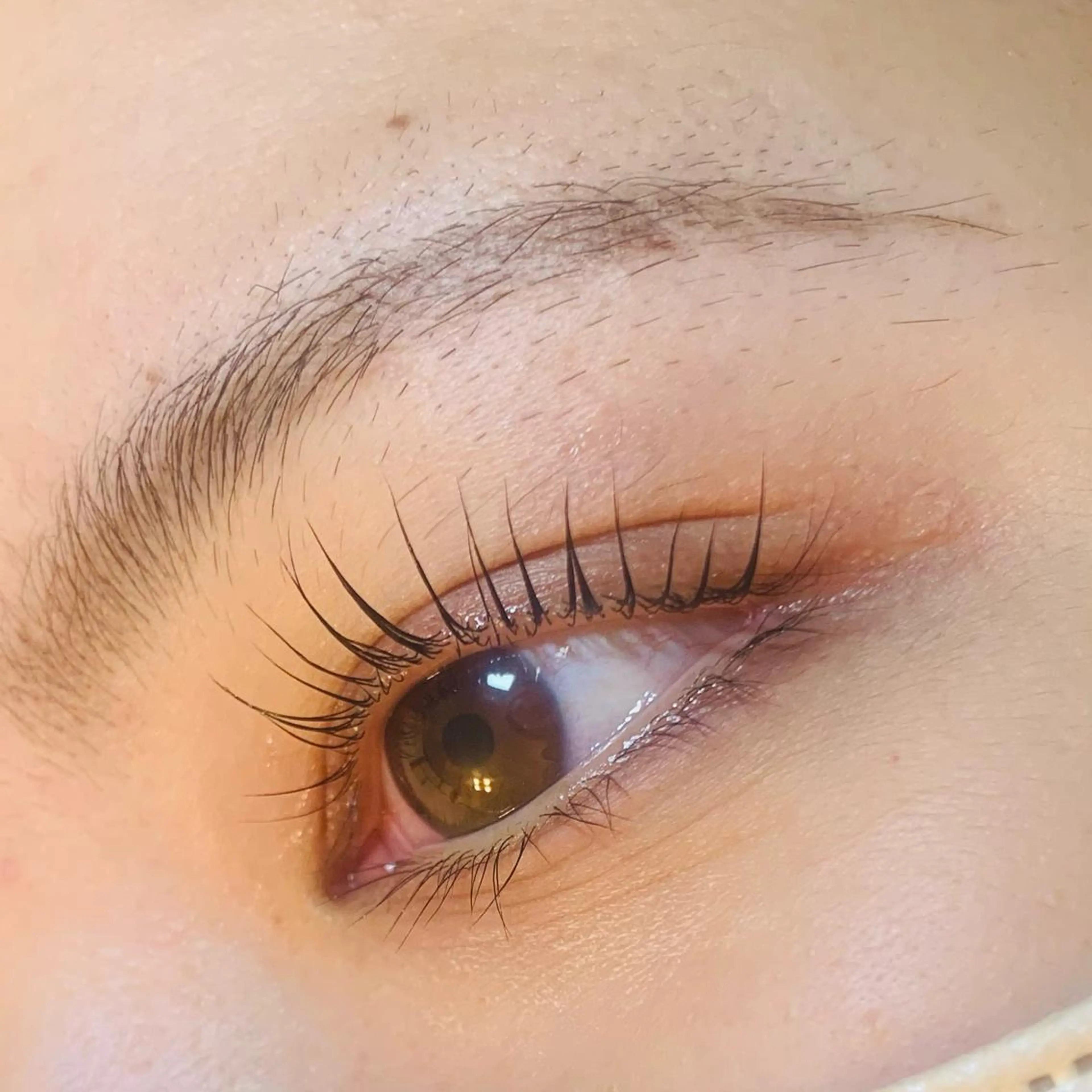 マツエク・マツパ パリジェンヌラッシュリフト Celeste Venus所属・🧸Celeste Venusのマツエク・マツパデザイン