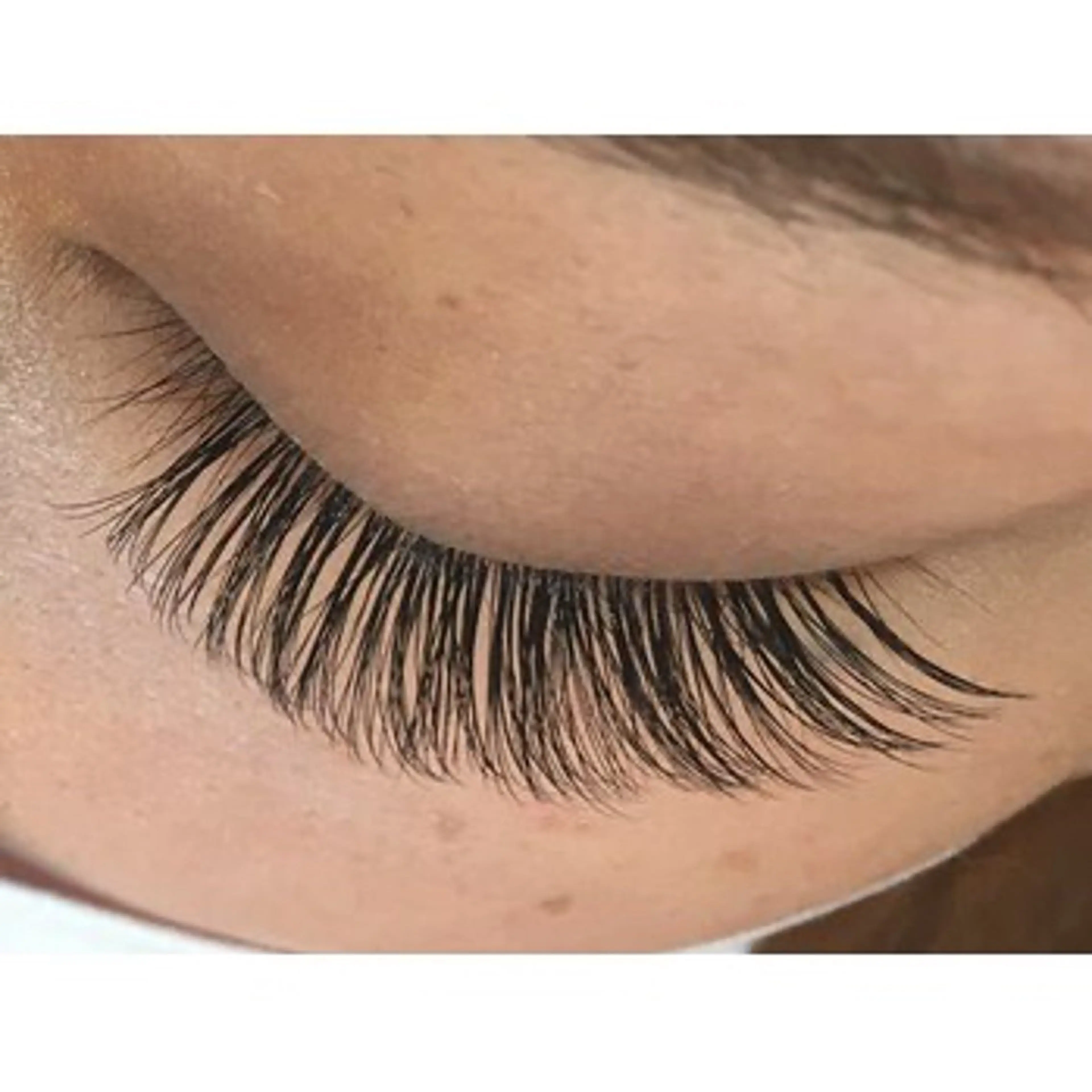 メガフラットラッシュ🌼100本の写真