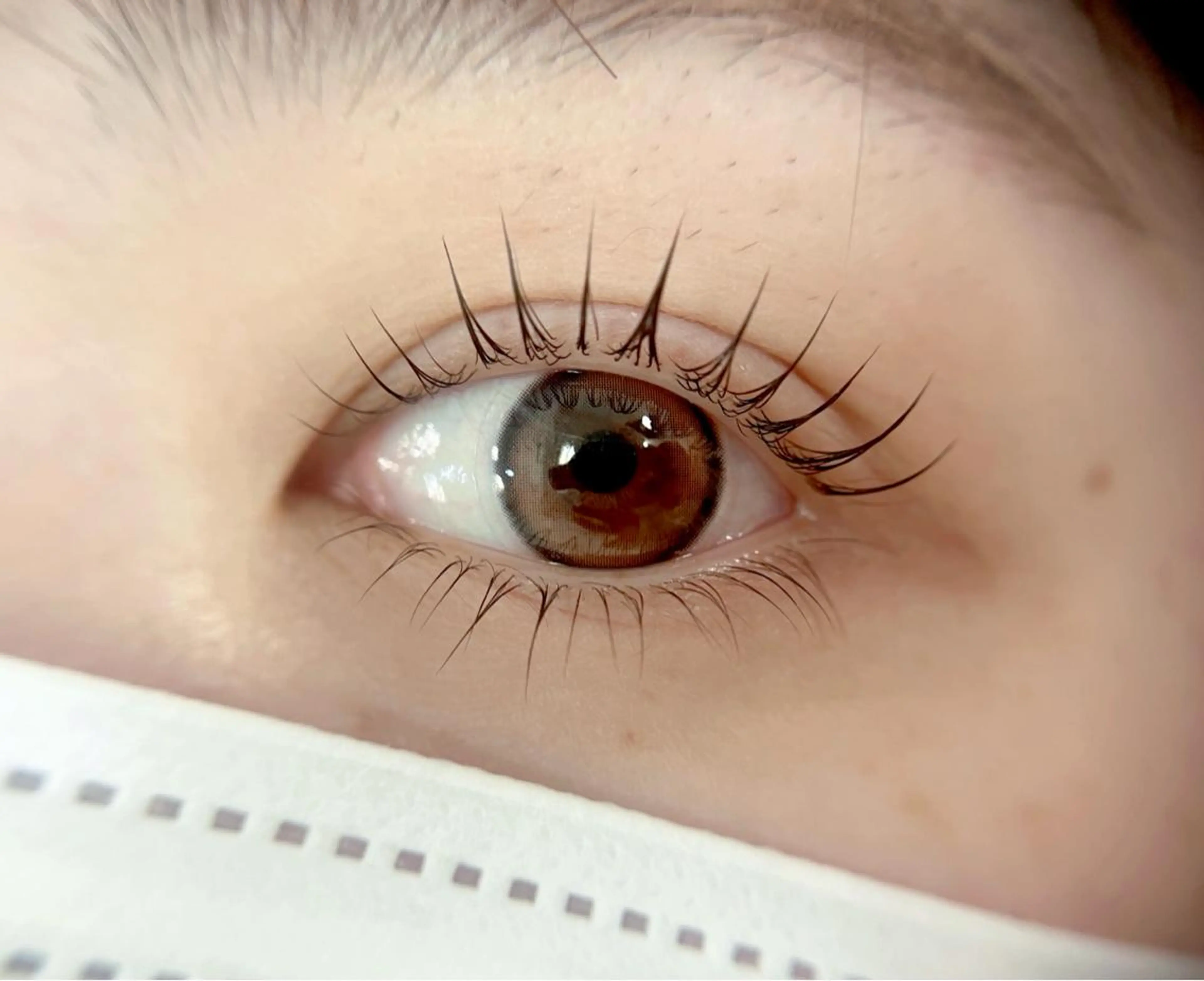 目力倍増🫐【上下まつげパーマ】※上下パリジェンヌラッシュリフトも◎の写真