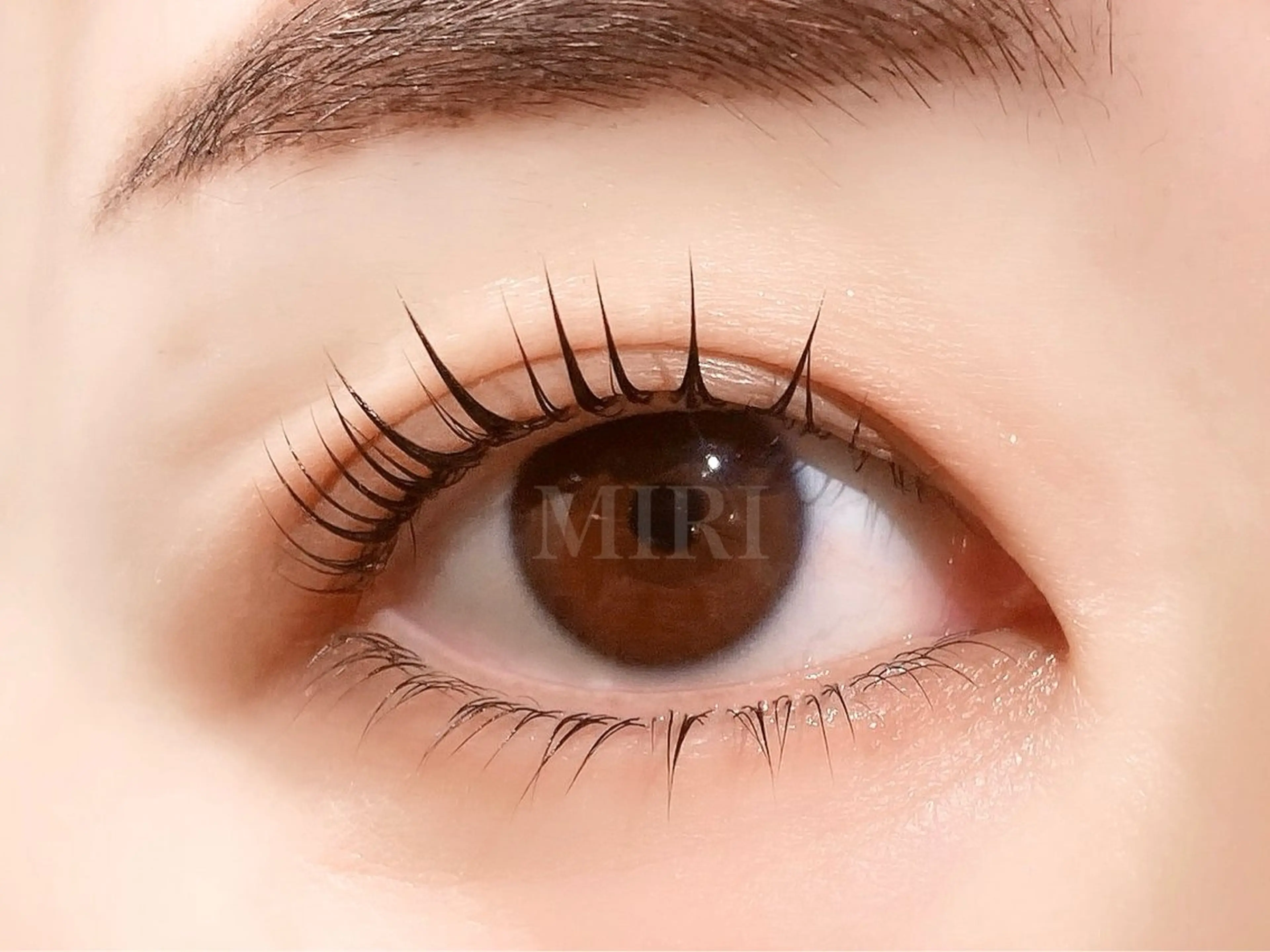 マツエク・マツパ マツパ まつげパーマ&アイブロウMIRI所属・🌷まつ毛パーマ 専門店MIRI 🌷のマツエク・マツパデザイン