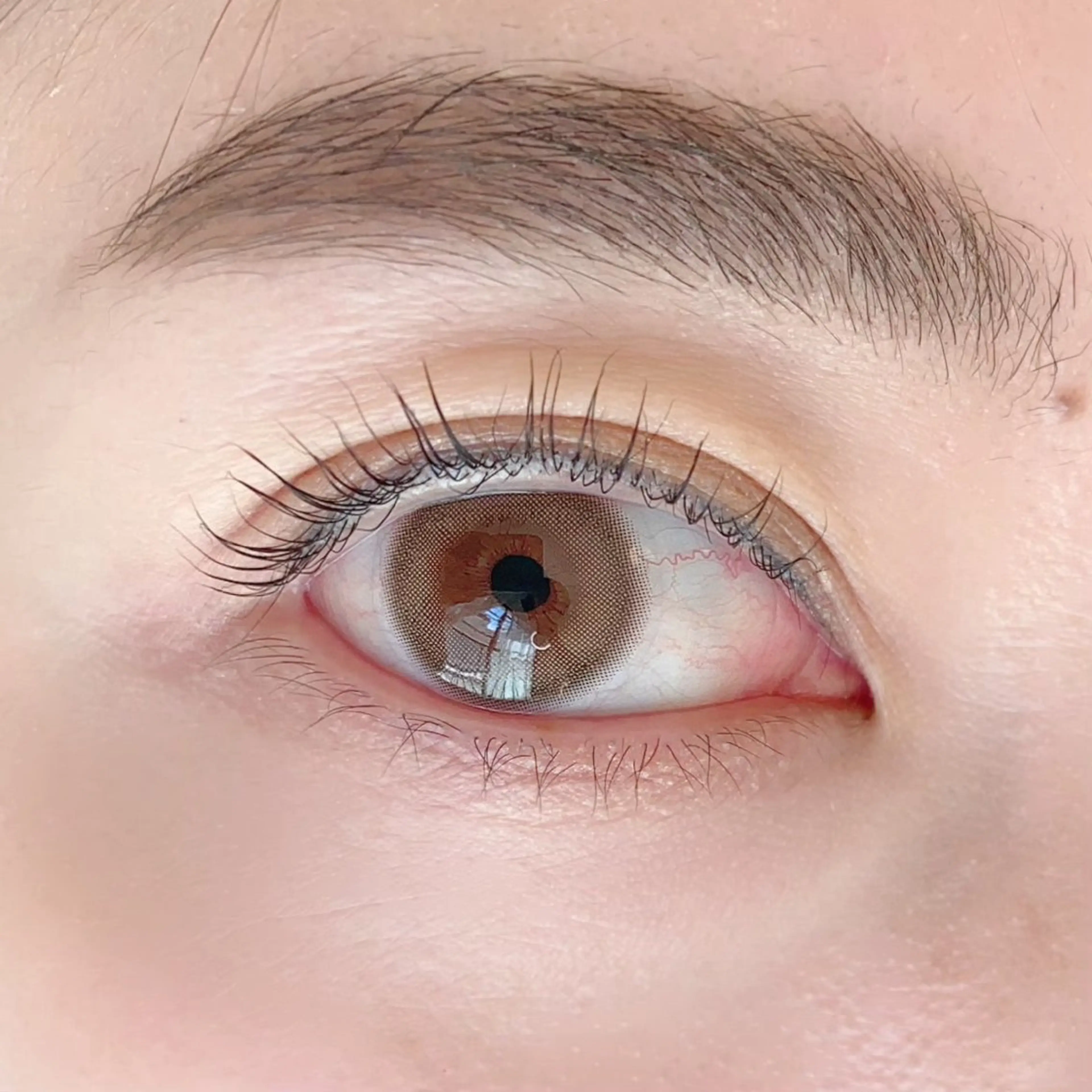 【まつげと眉セット】ラッシュリフト(上)＋アイブロウWAXの写真